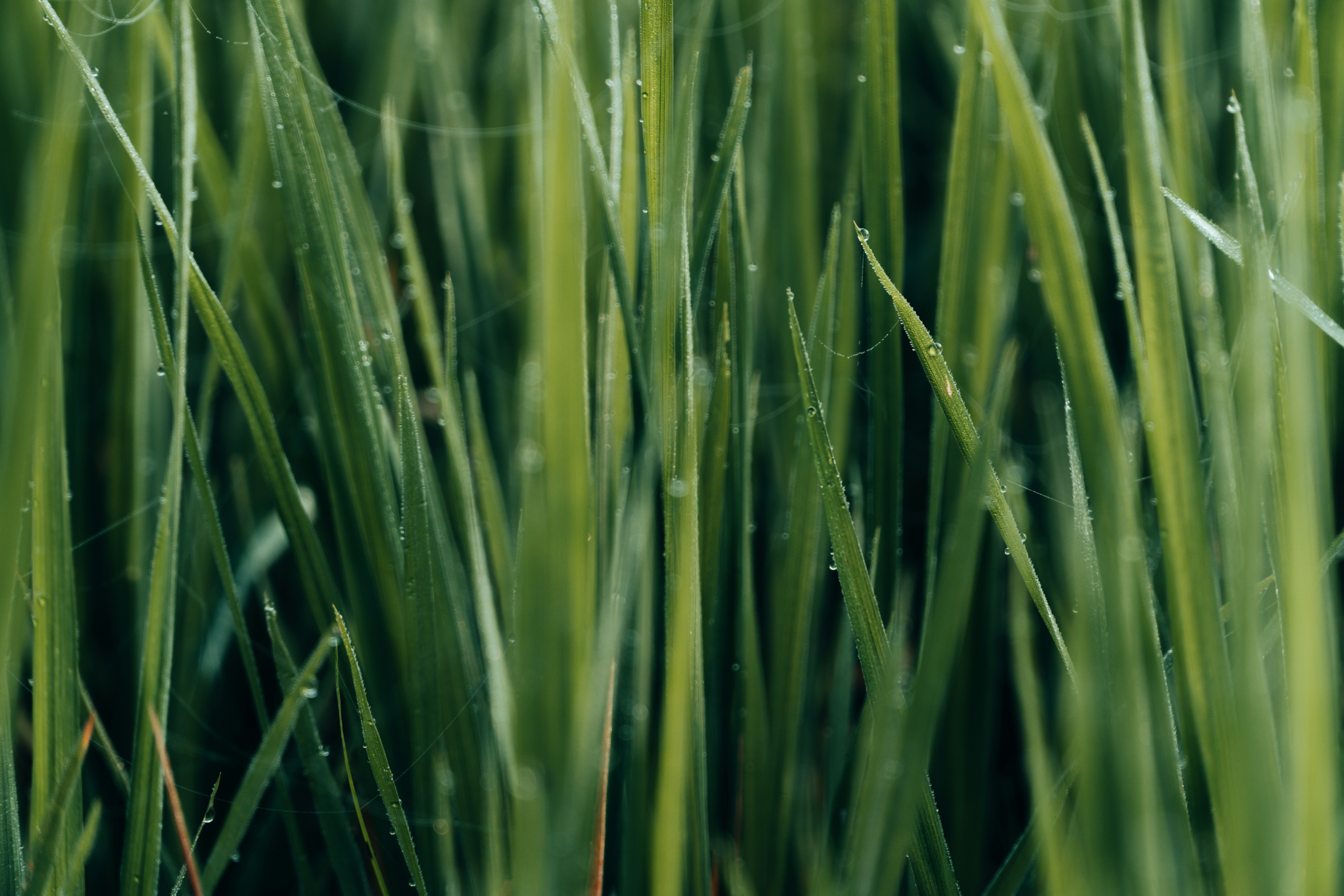 Photo by abdulkayum97