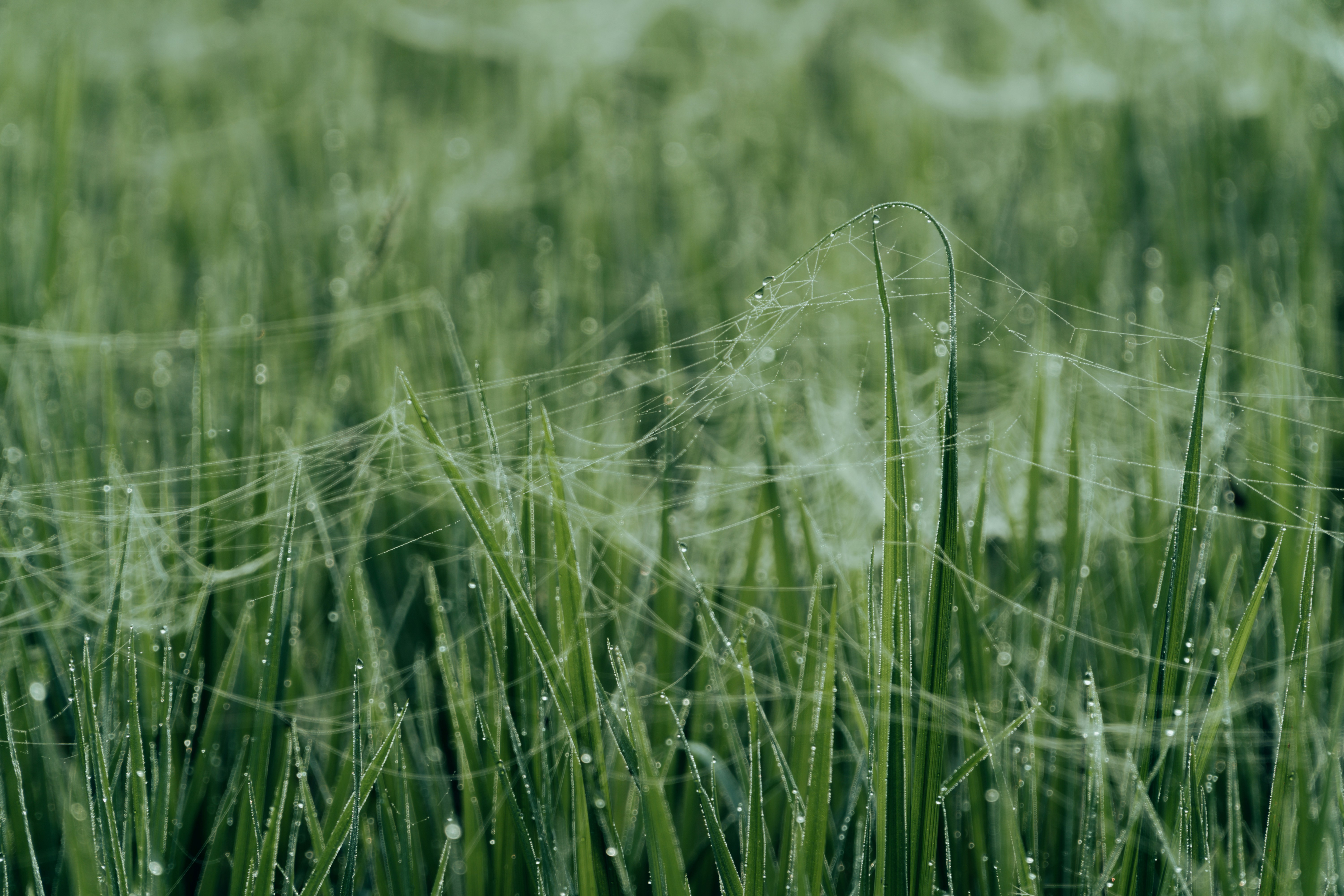 Photo by abdulkayum97