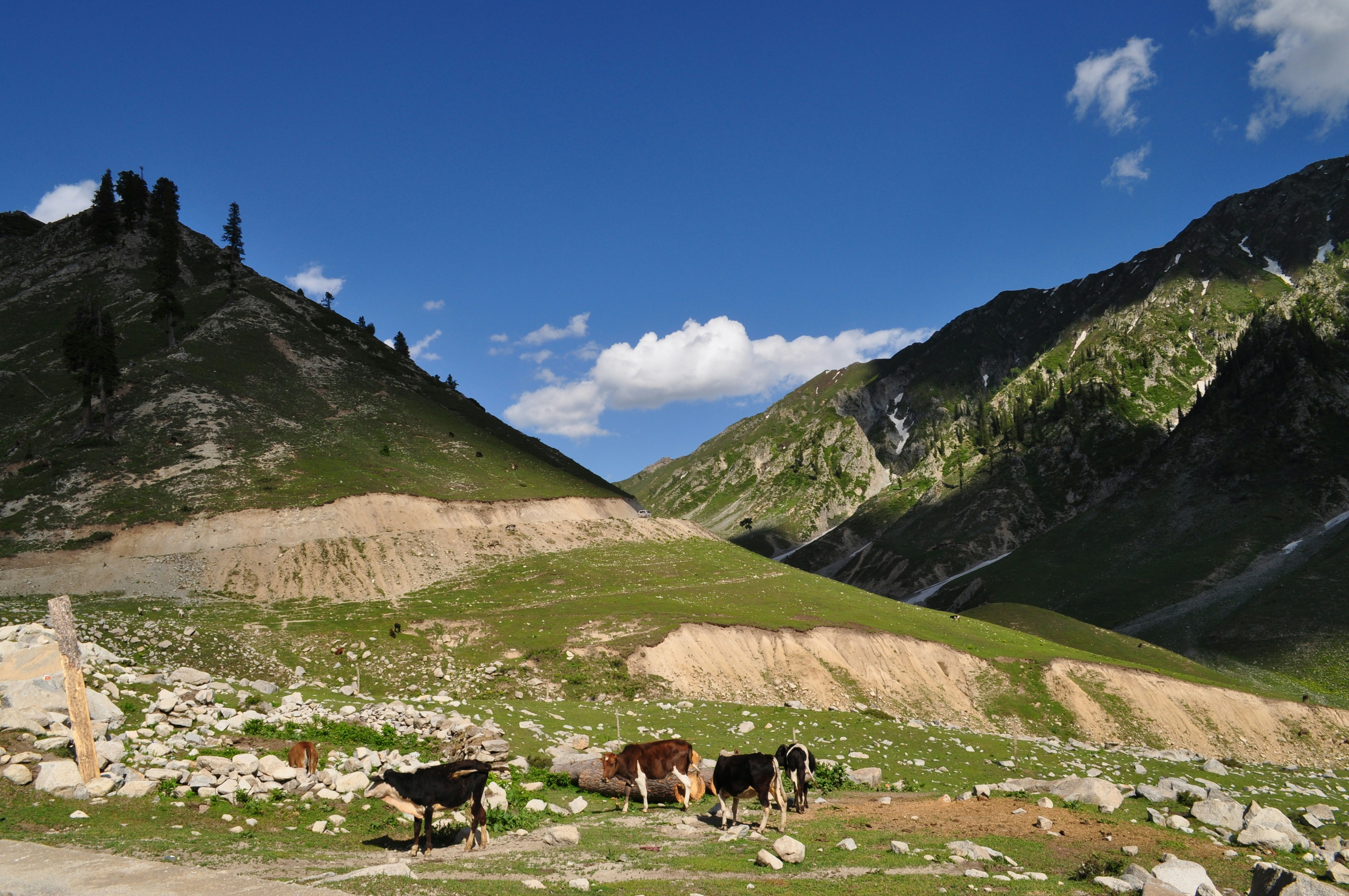 Photo by ucgraphichouse