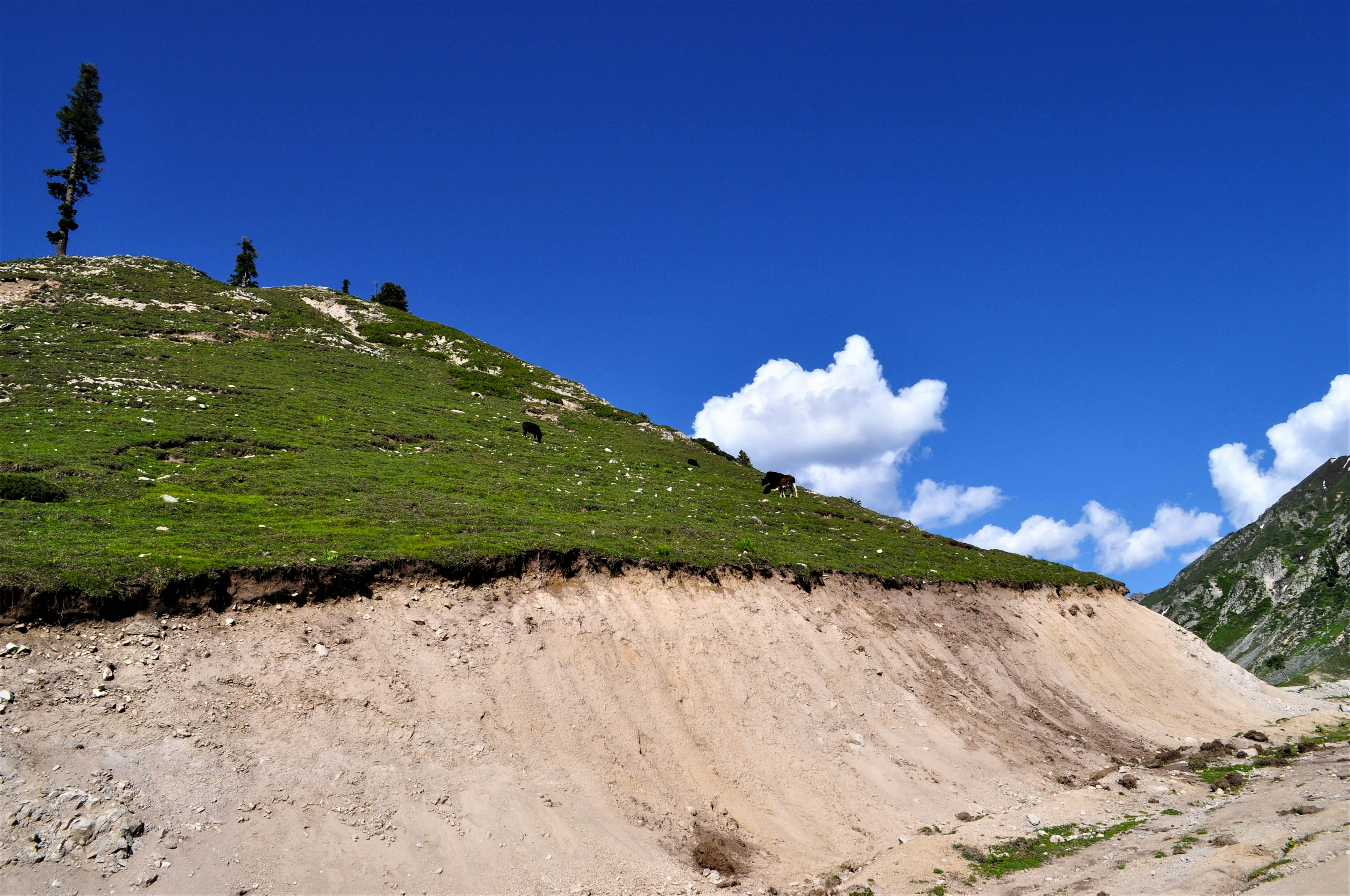 Photo by ucgraphichouse