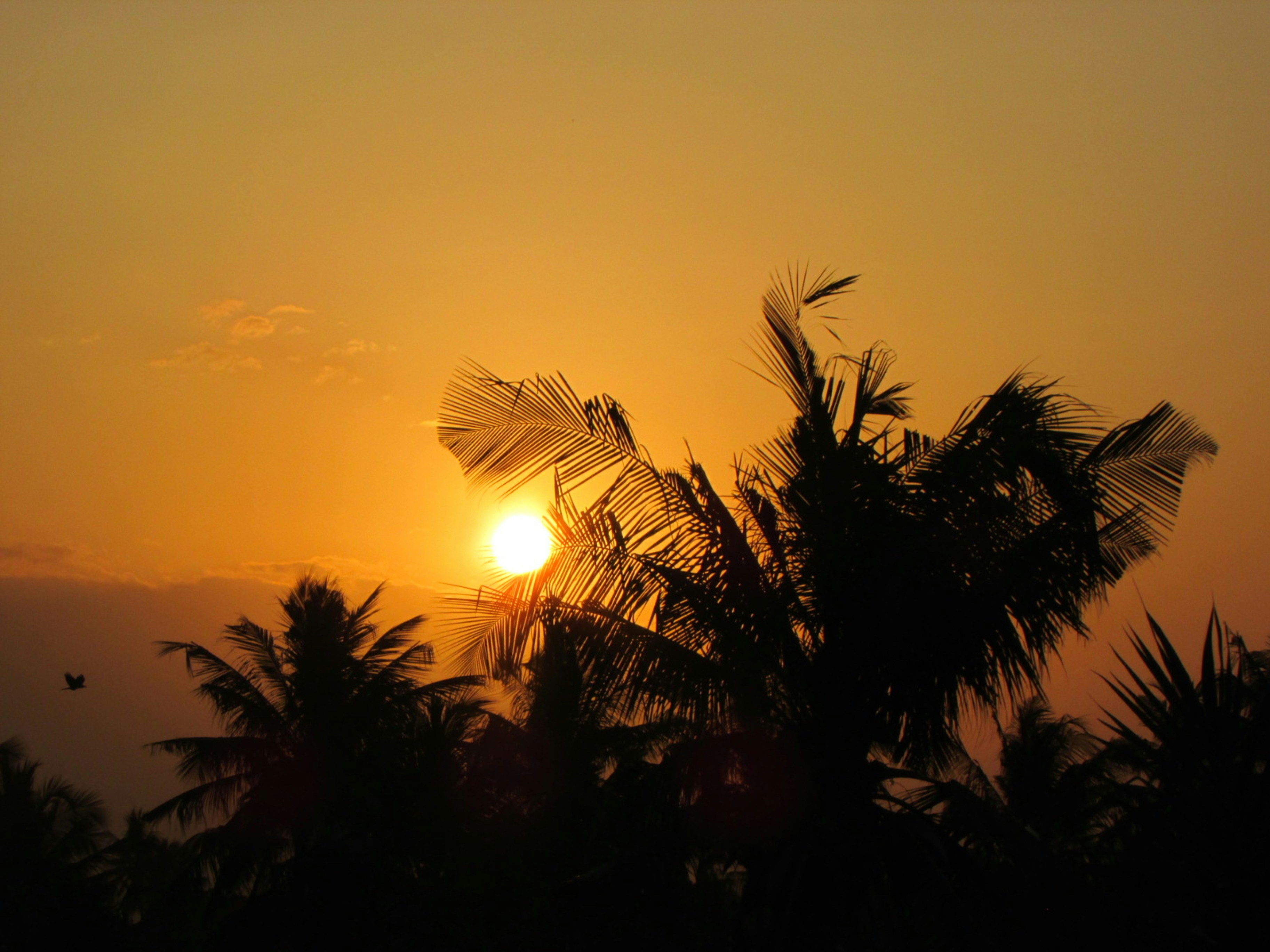 Photo by capturedbybelle