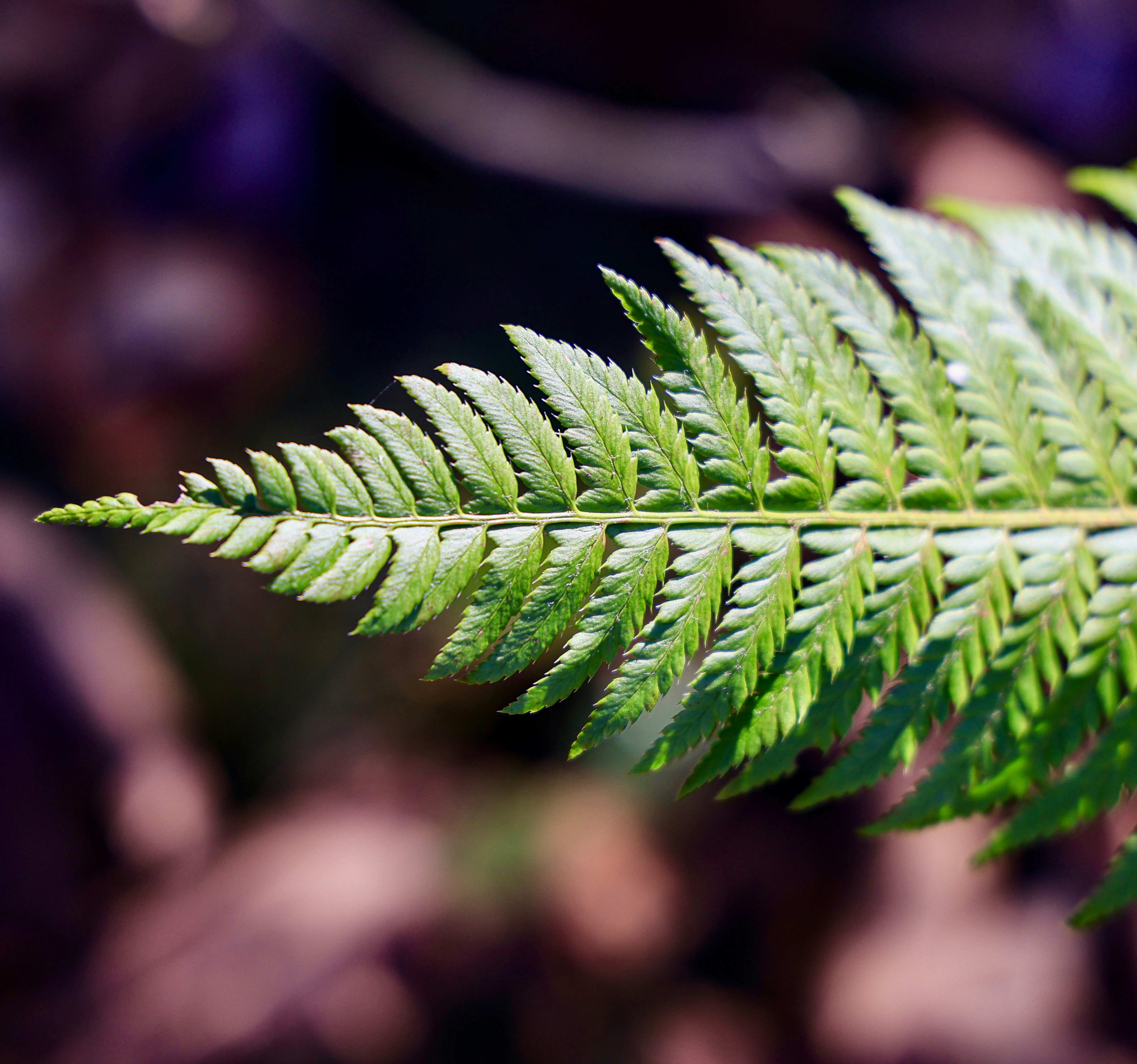 Photo by maximilian_brand