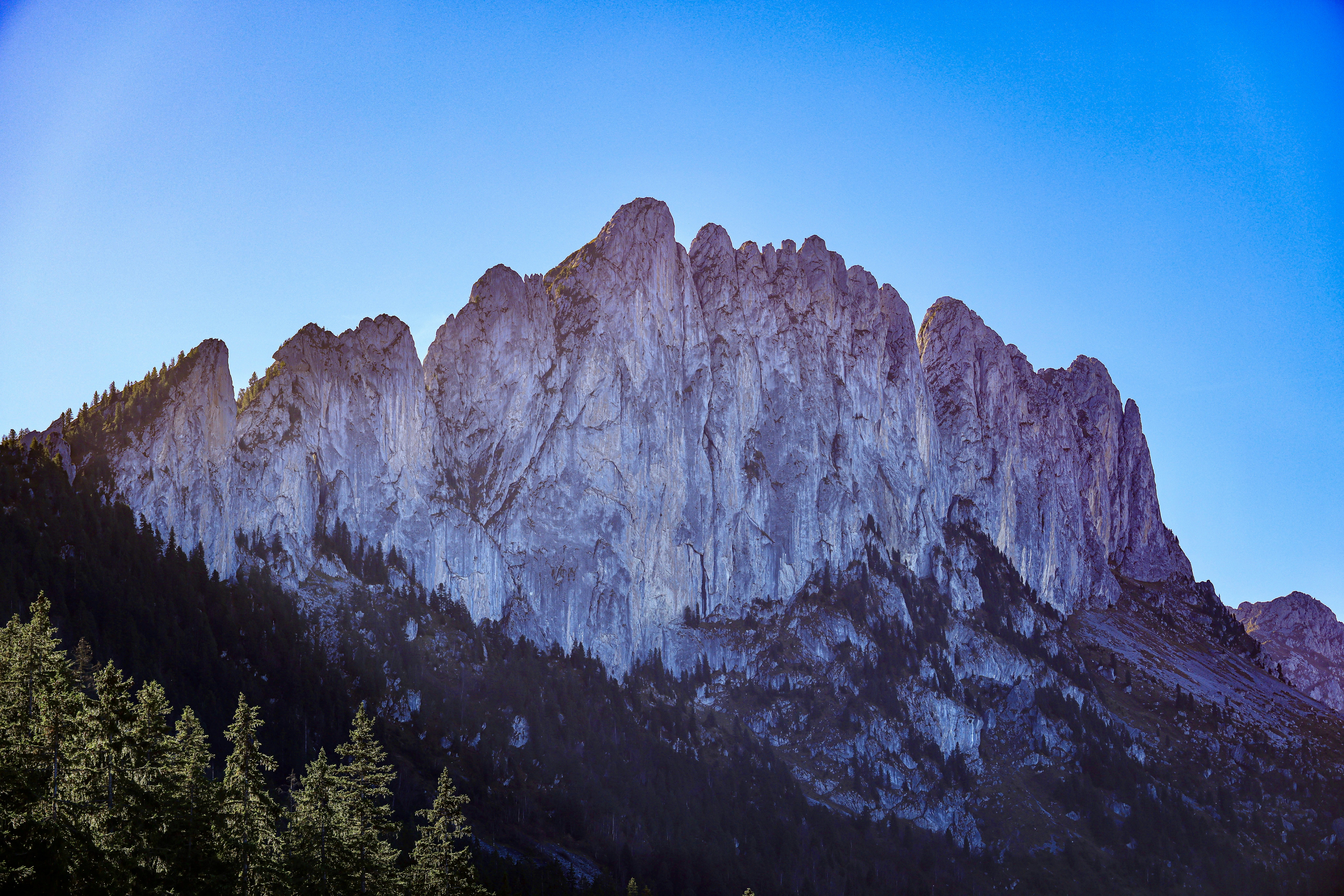 Photo by maximilian_brand