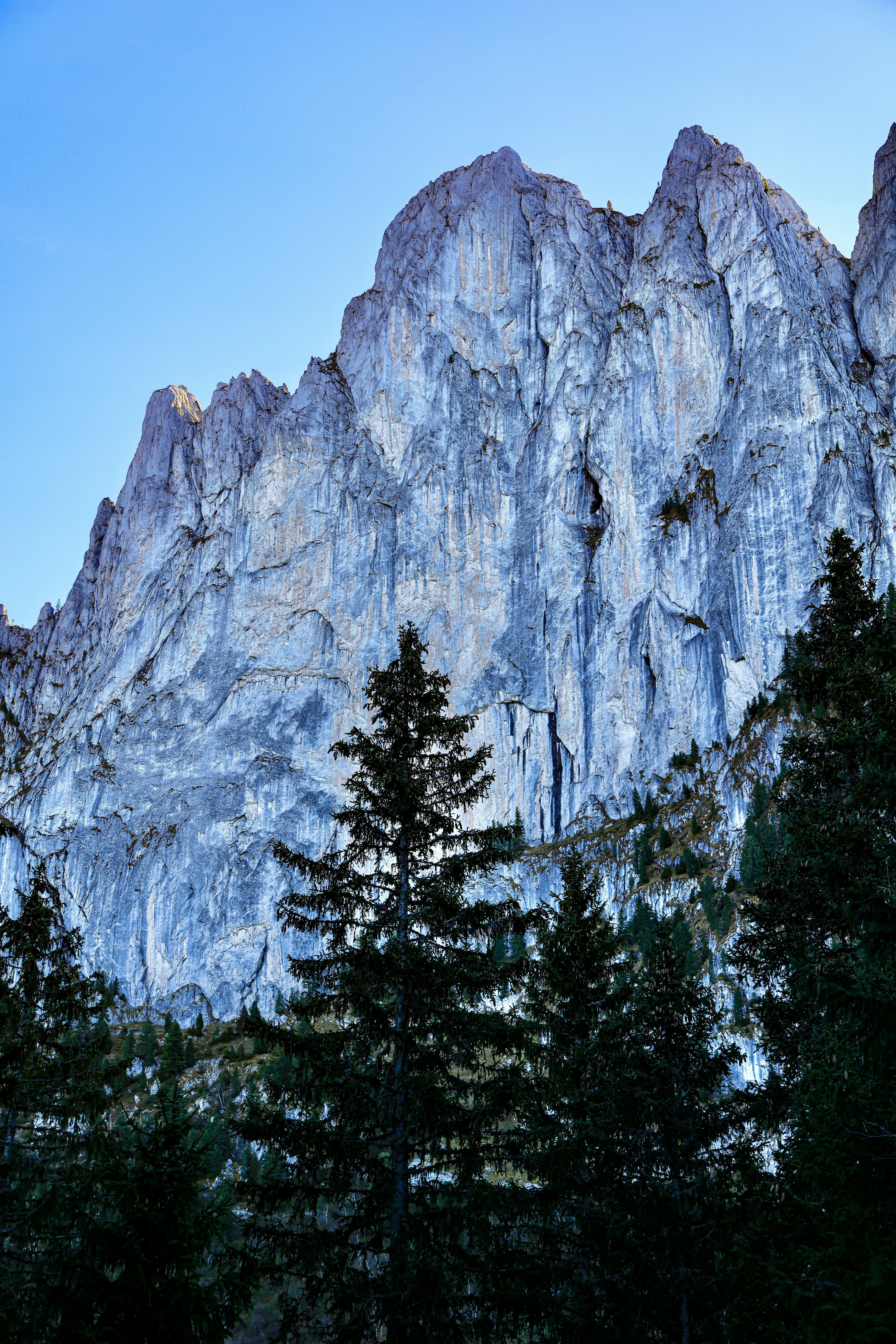 Photo by maximilian_brand