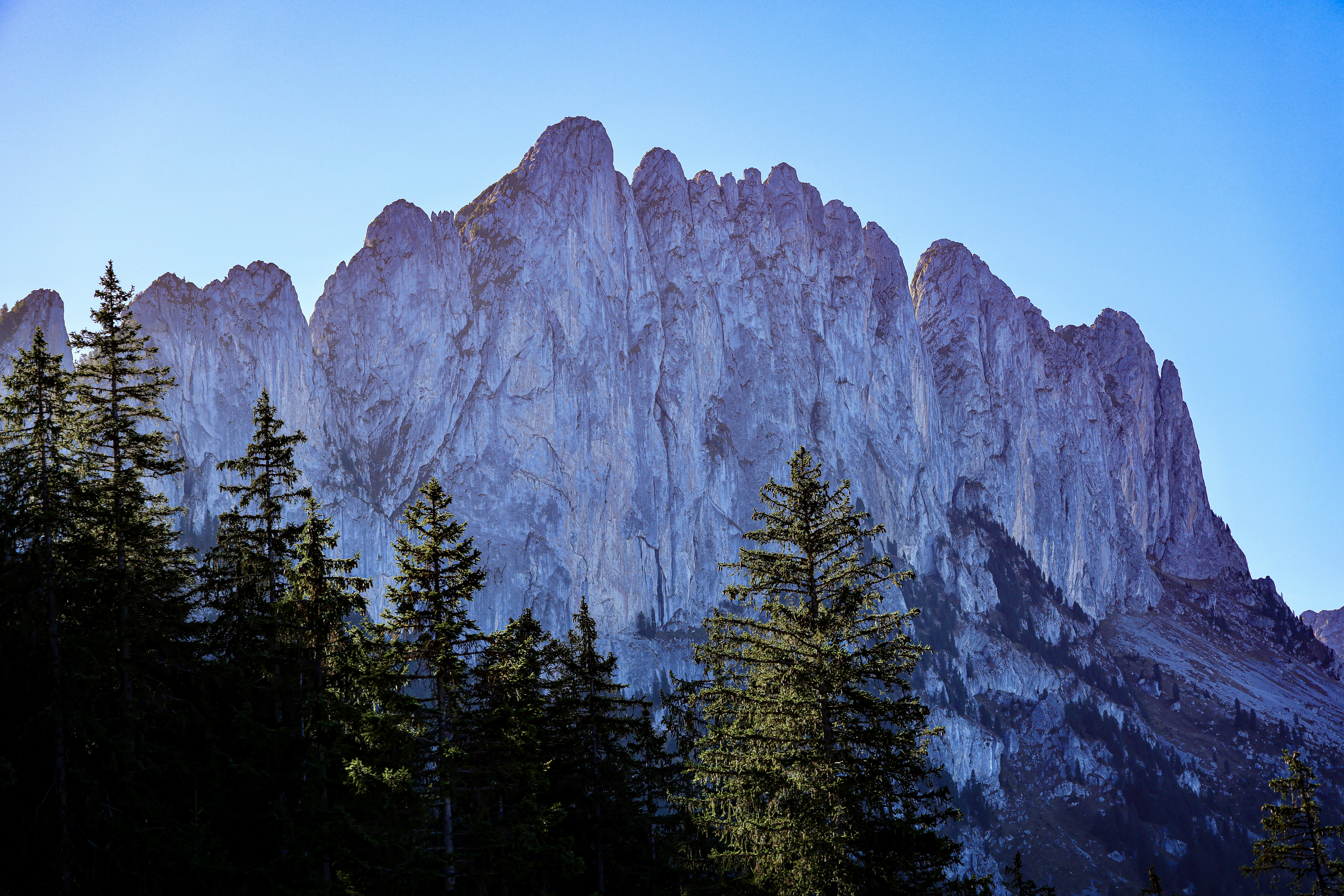 Photo by maximilian_brand