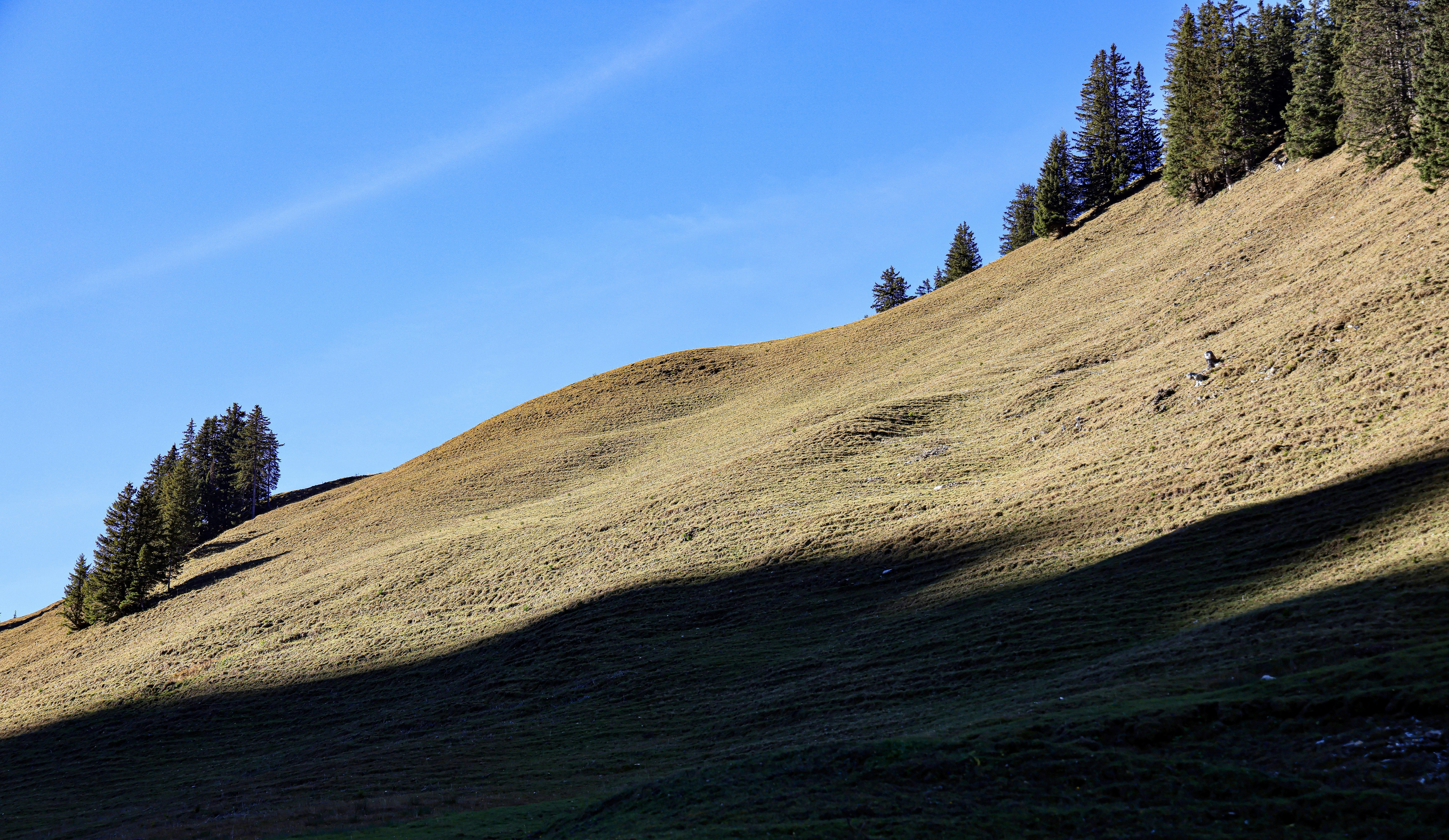 Photo by maximilian_brand