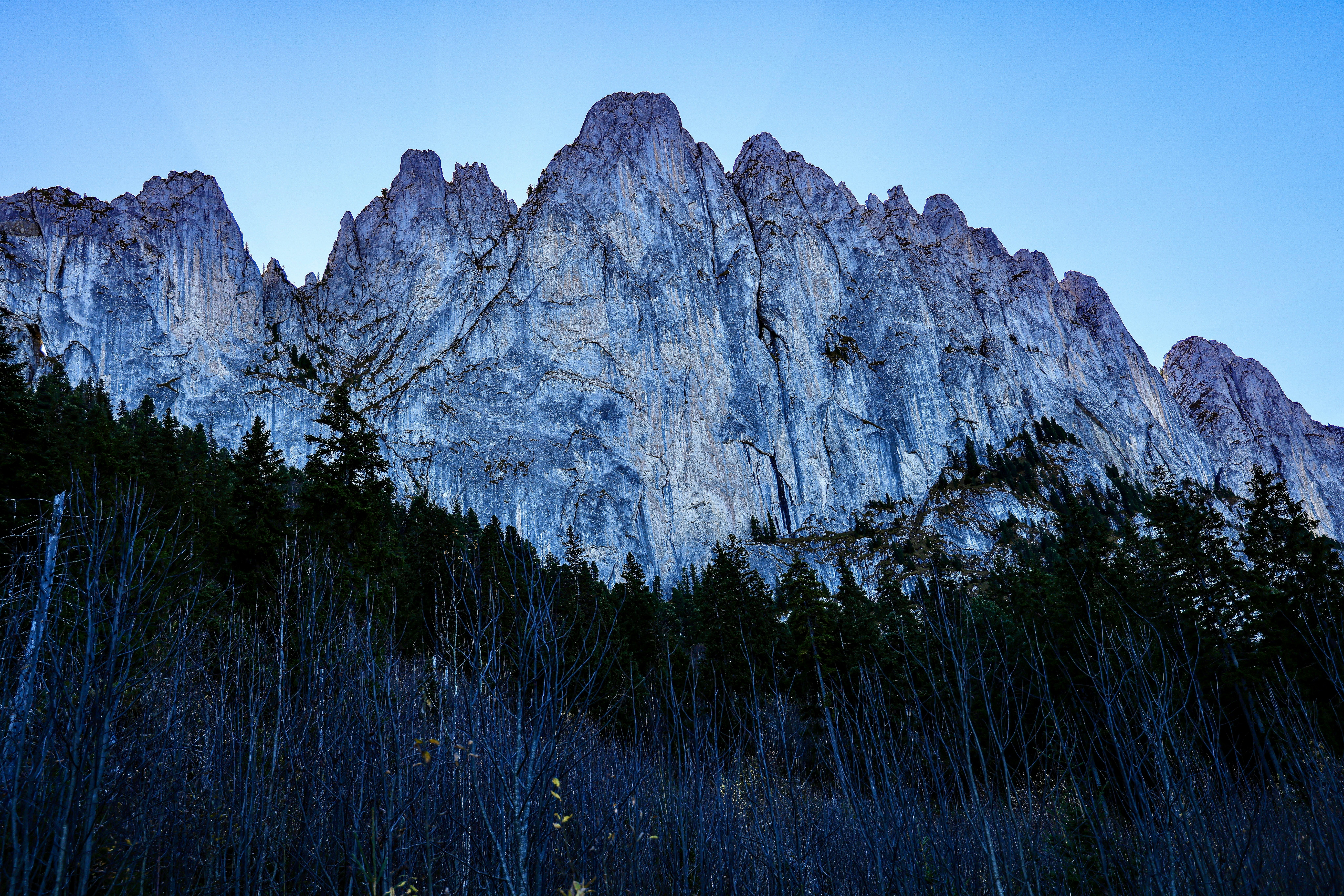 Photo by maximilian_brand