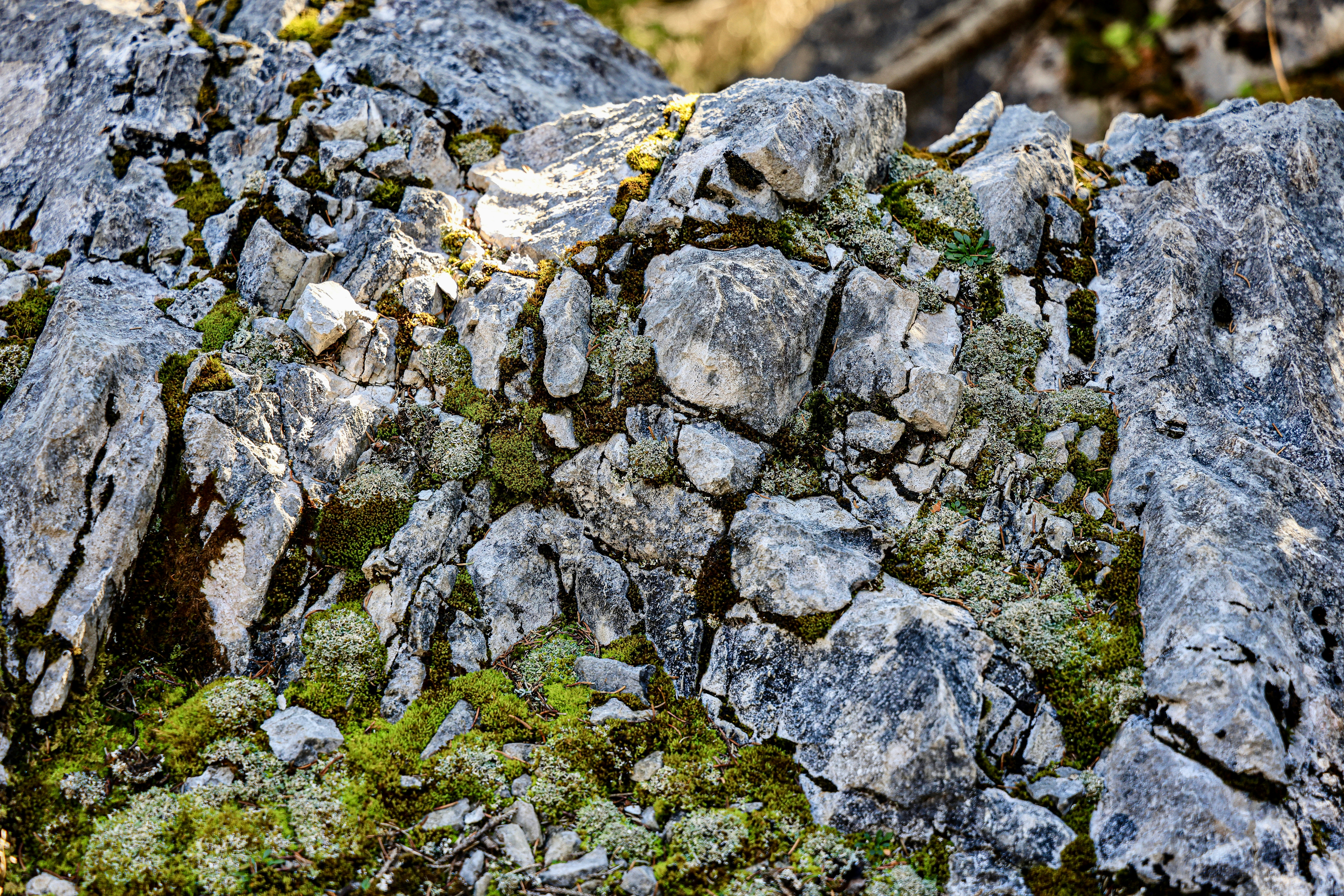 Photo by maximilian_brand