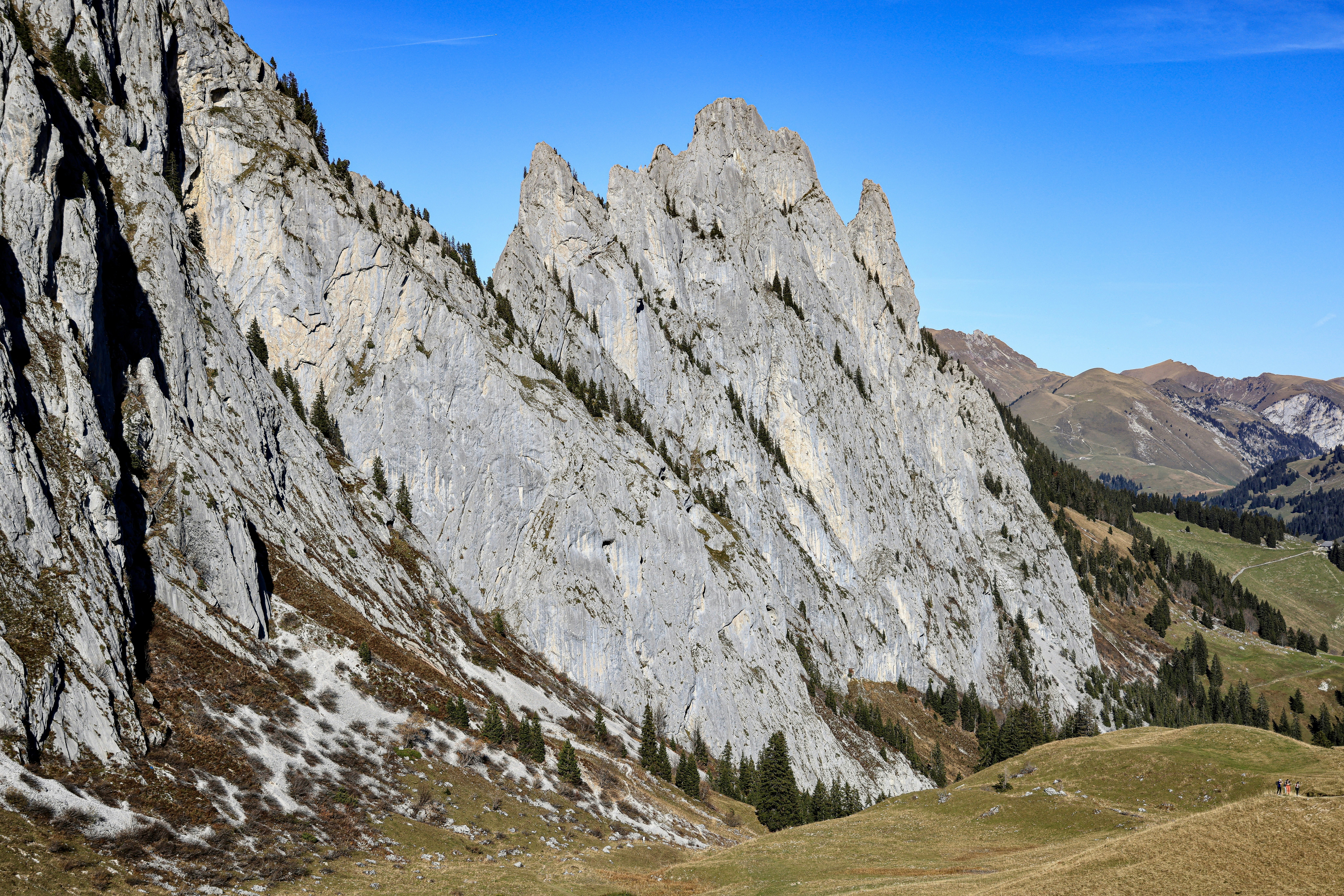 Photo by maximilian_brand