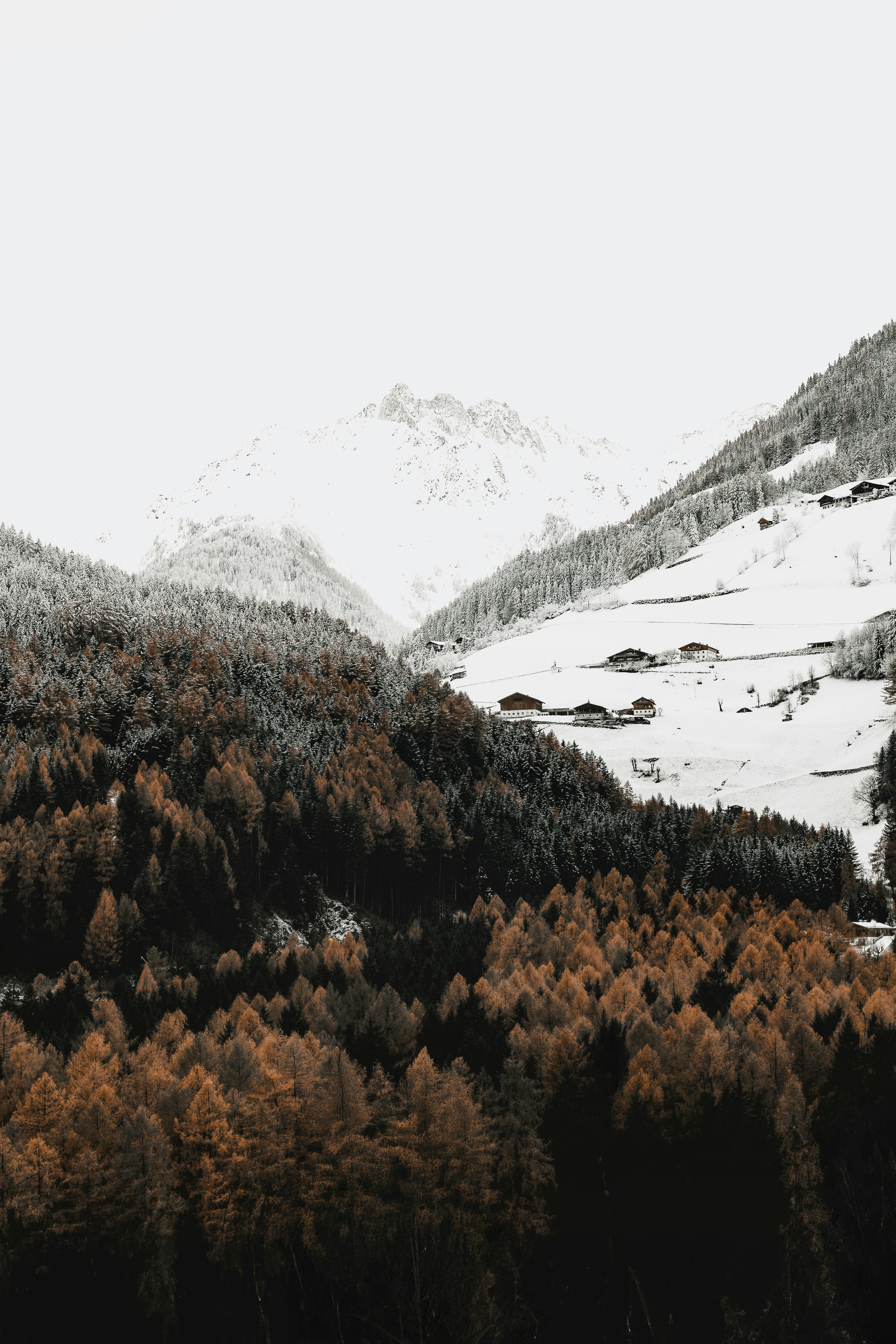 Daily Productive Sharing 1115 - Crazy Times