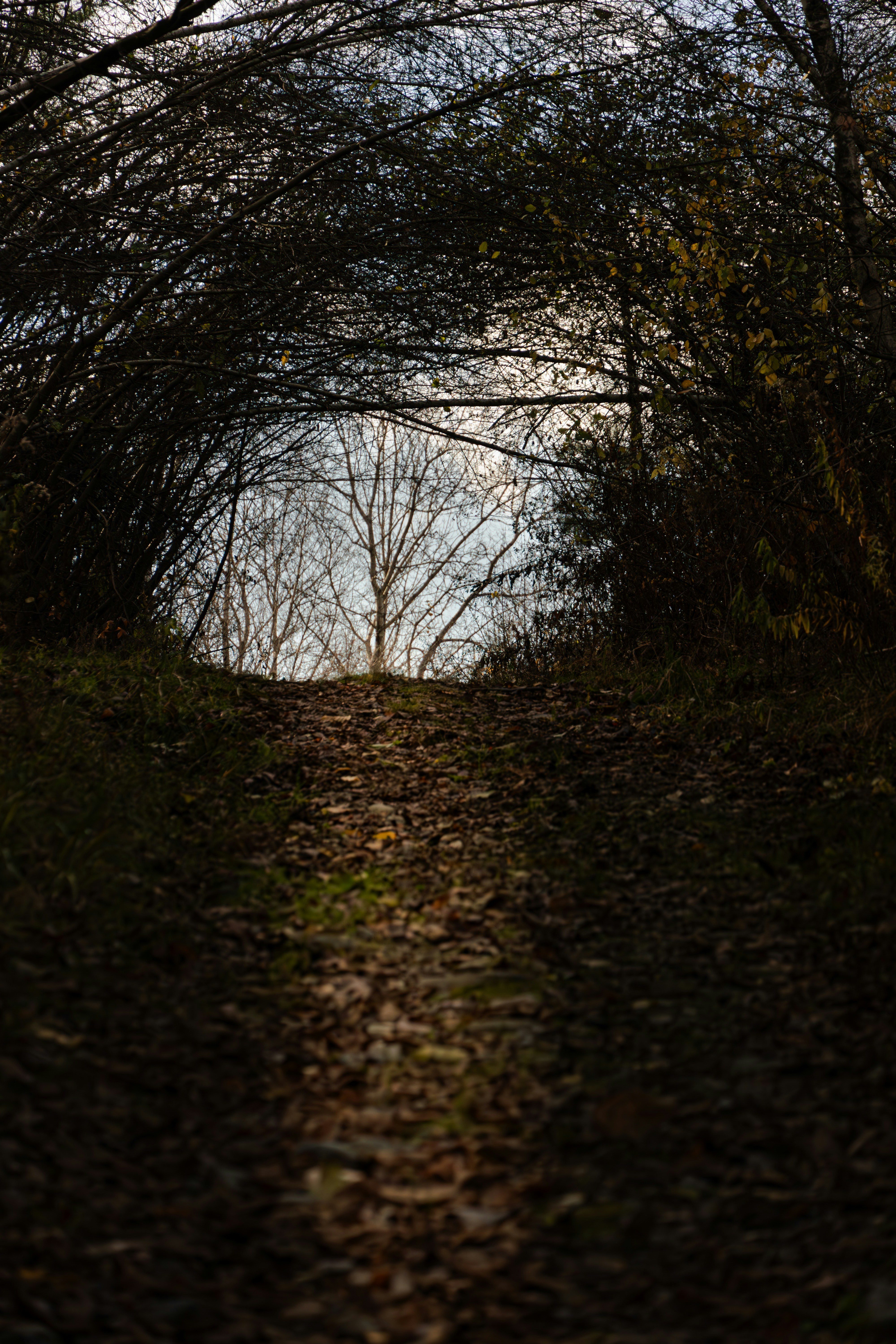 Photo by tog_photography