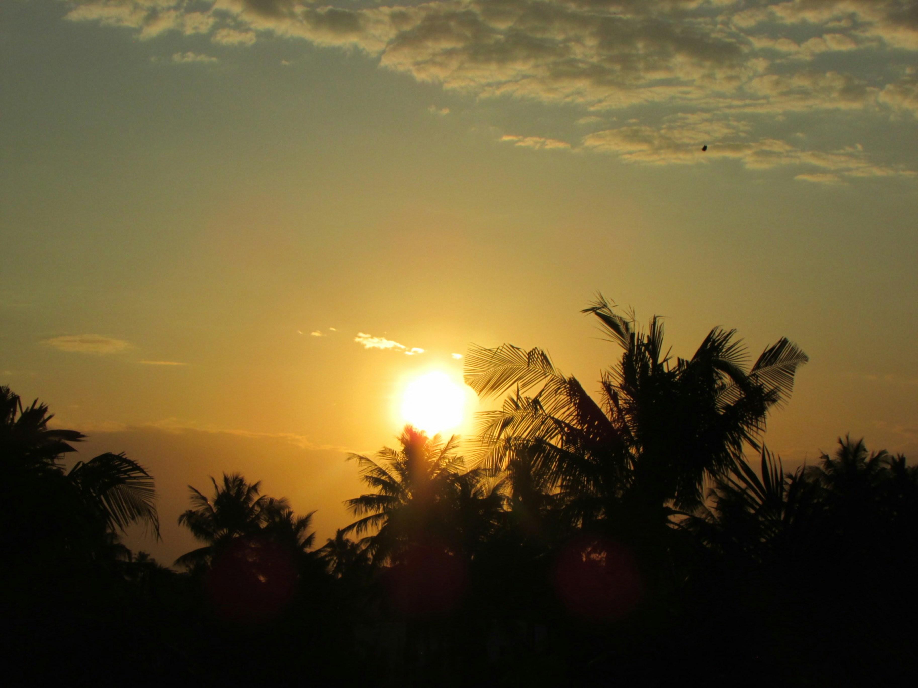 Photo by capturedbybelle