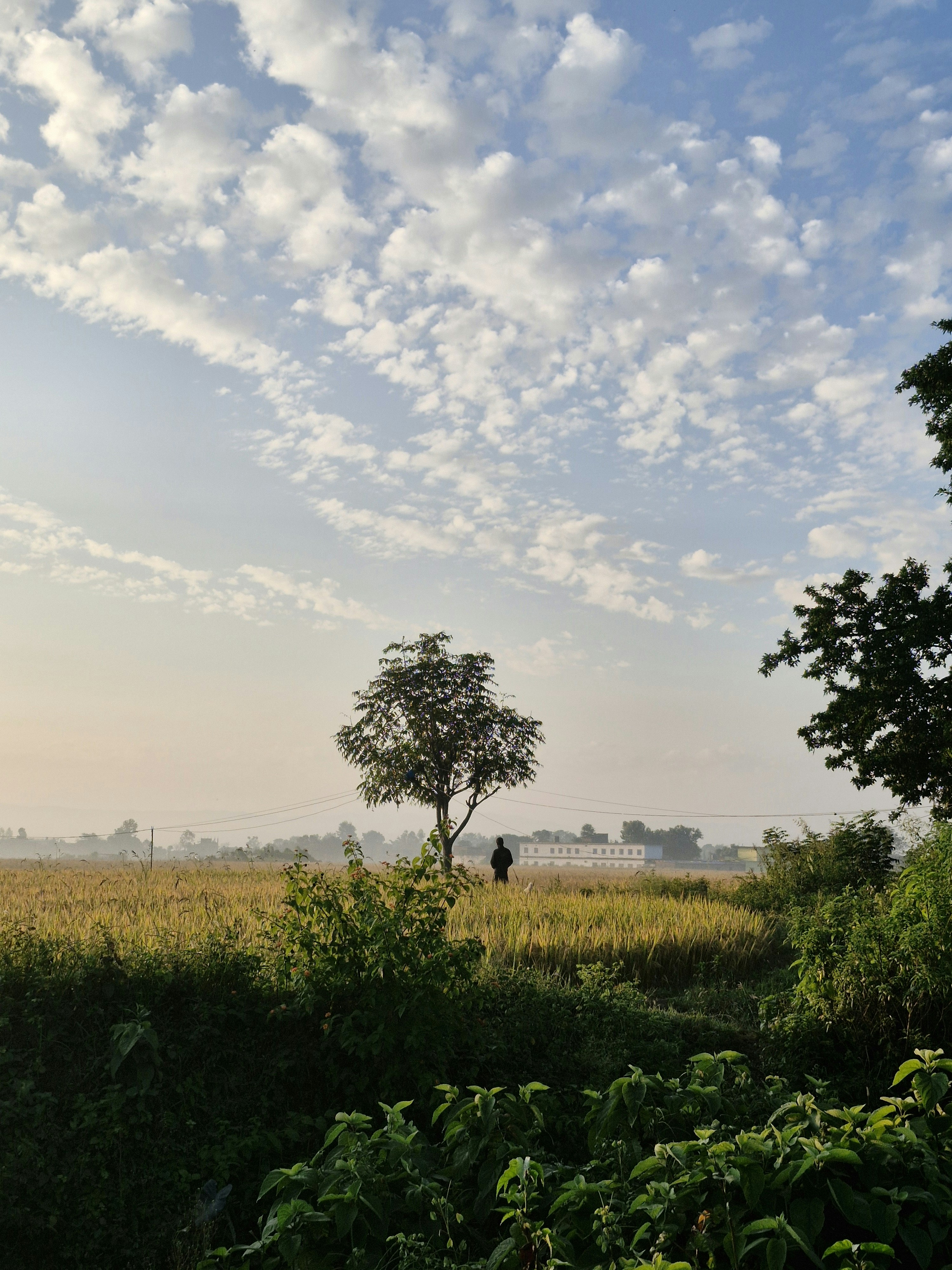 Photo by prratikaryal
