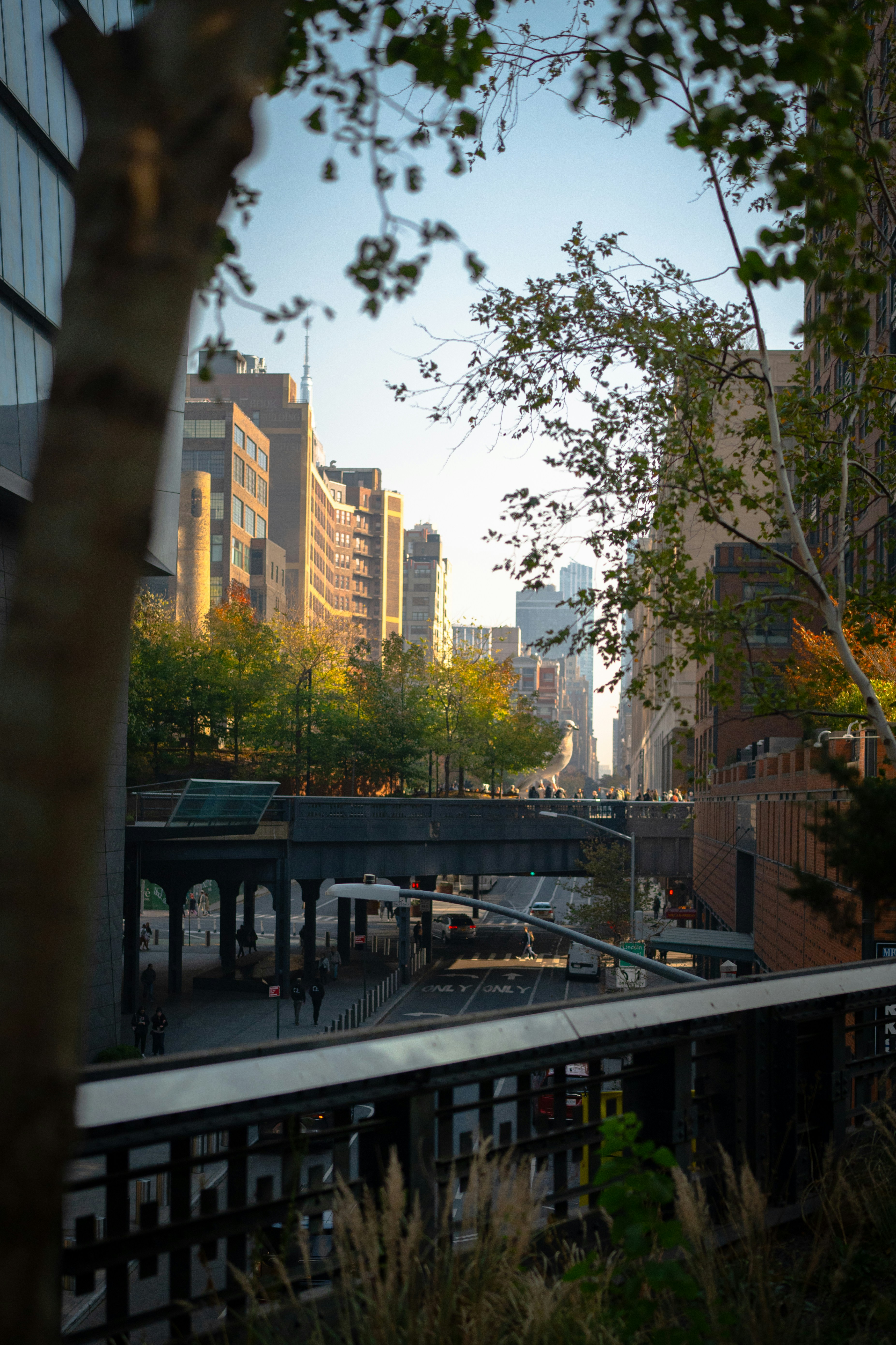 Photo by mbcarterphotography