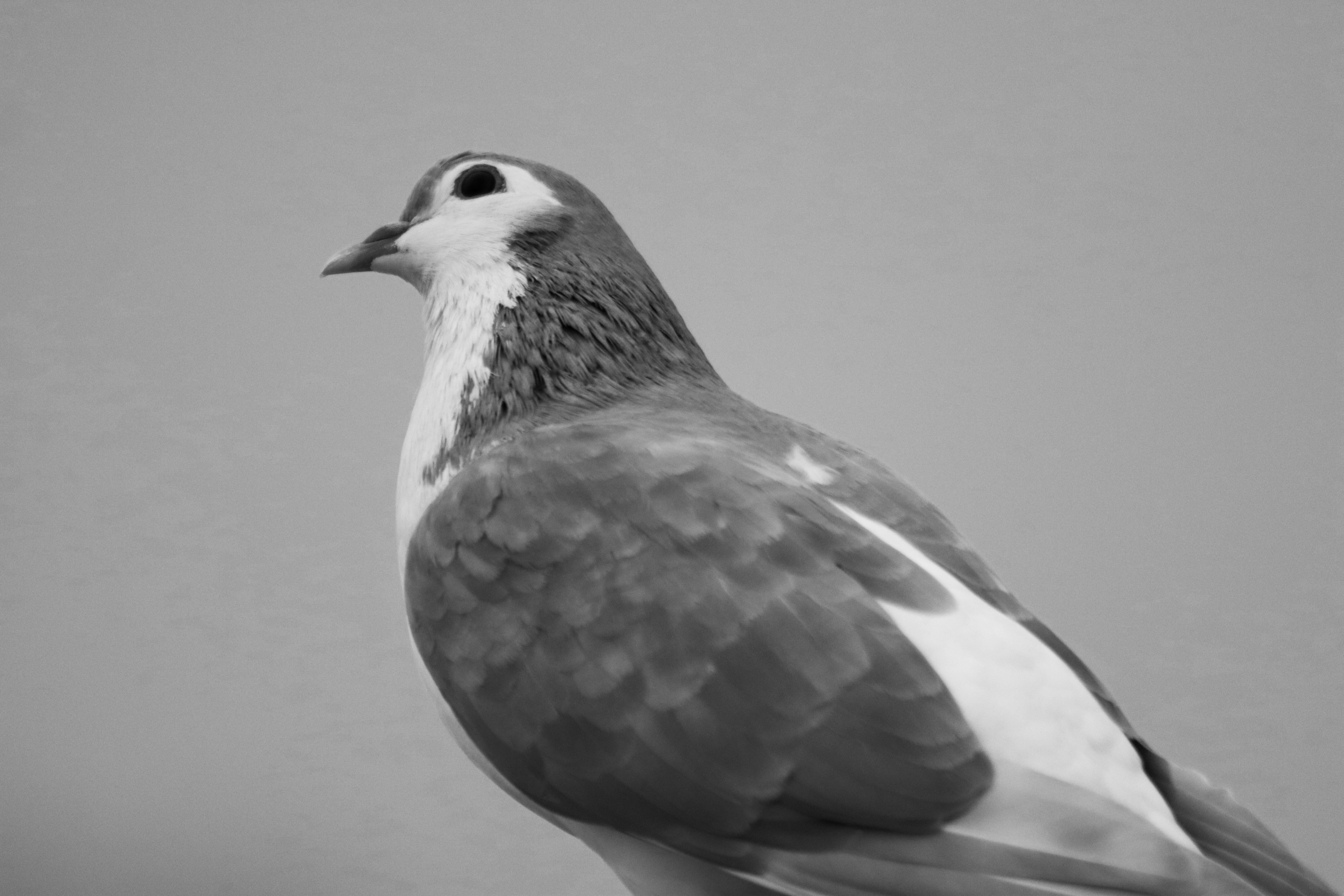 Photo by drphotographer152