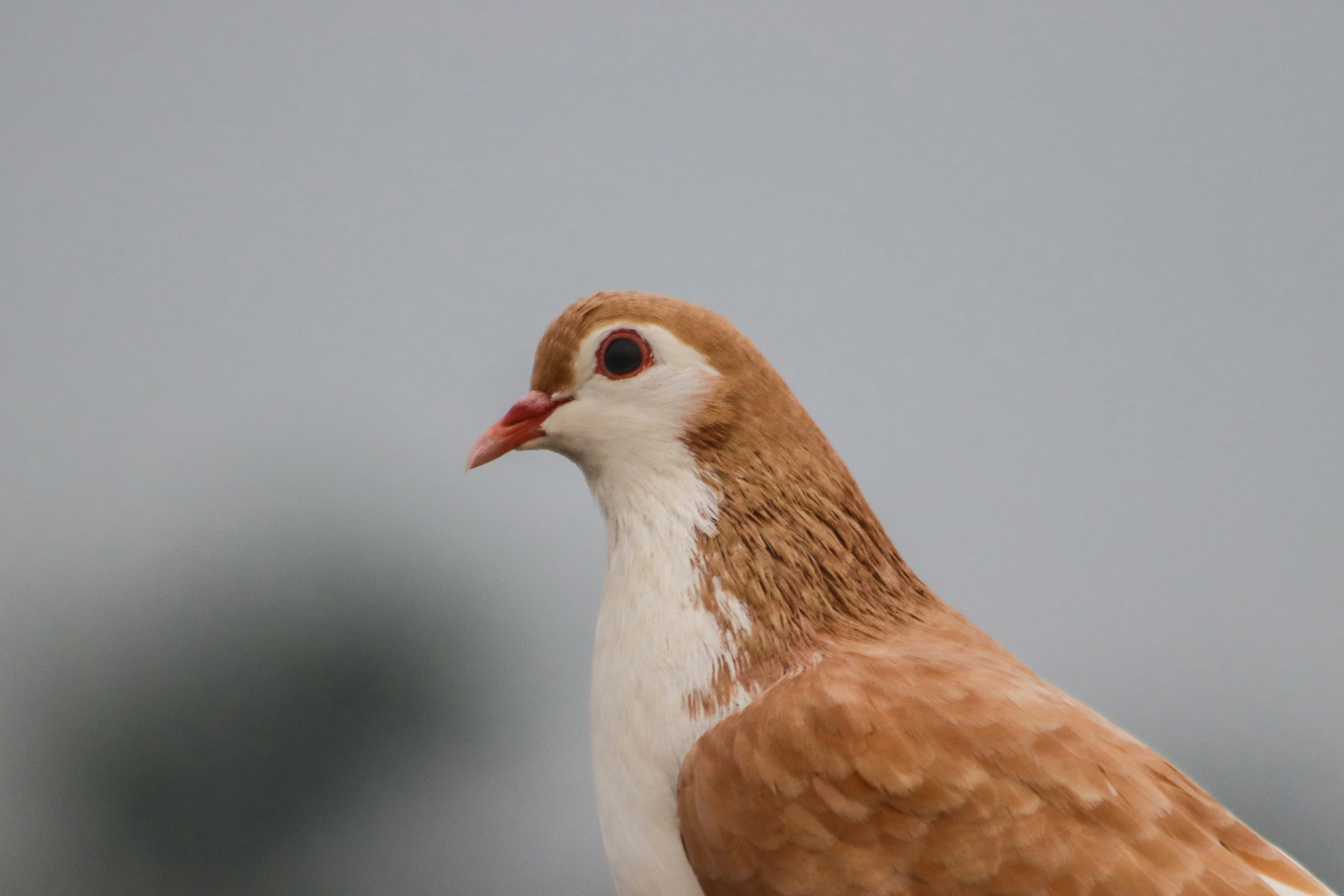 Photo by drphotographer152