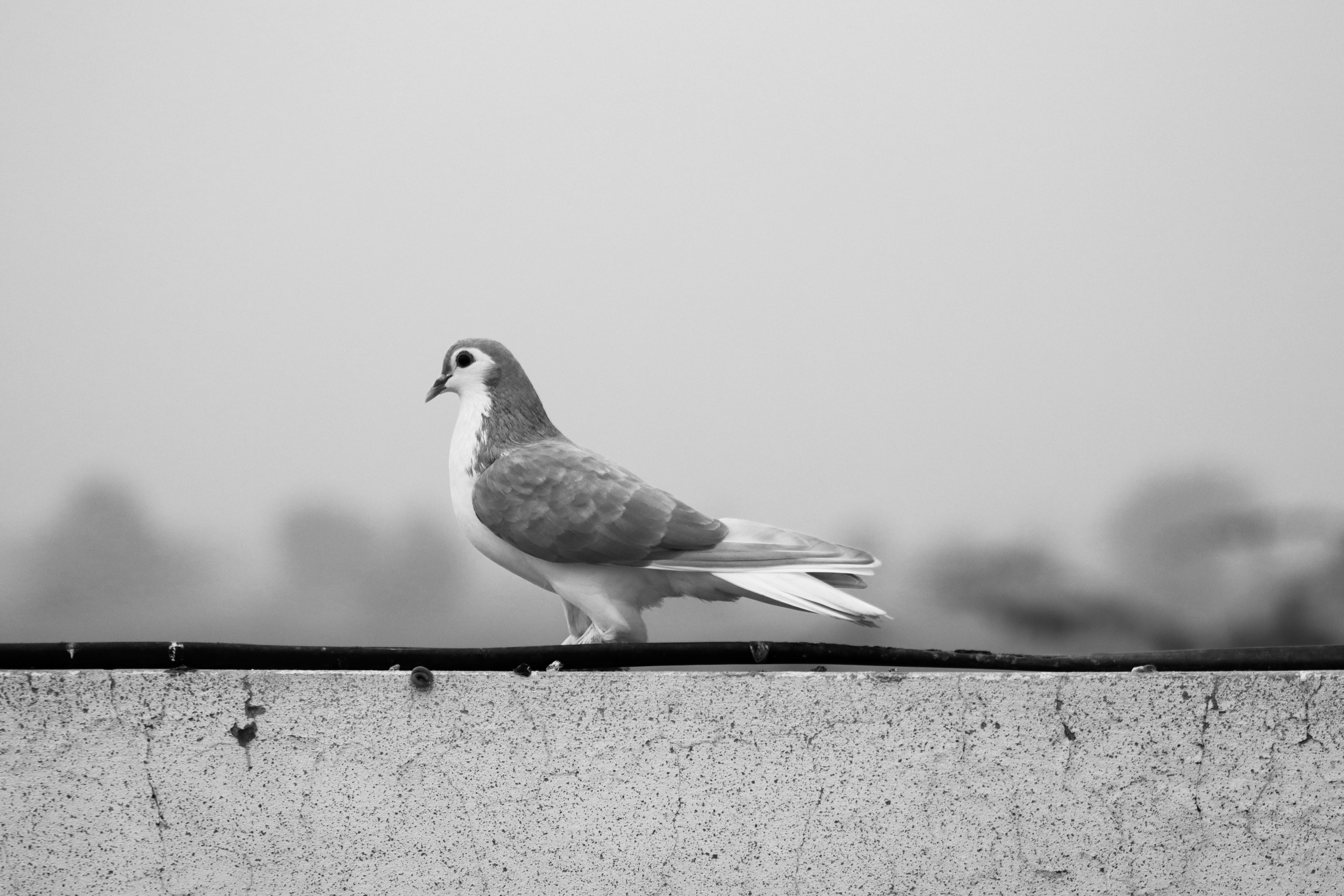 Photo by drphotographer152