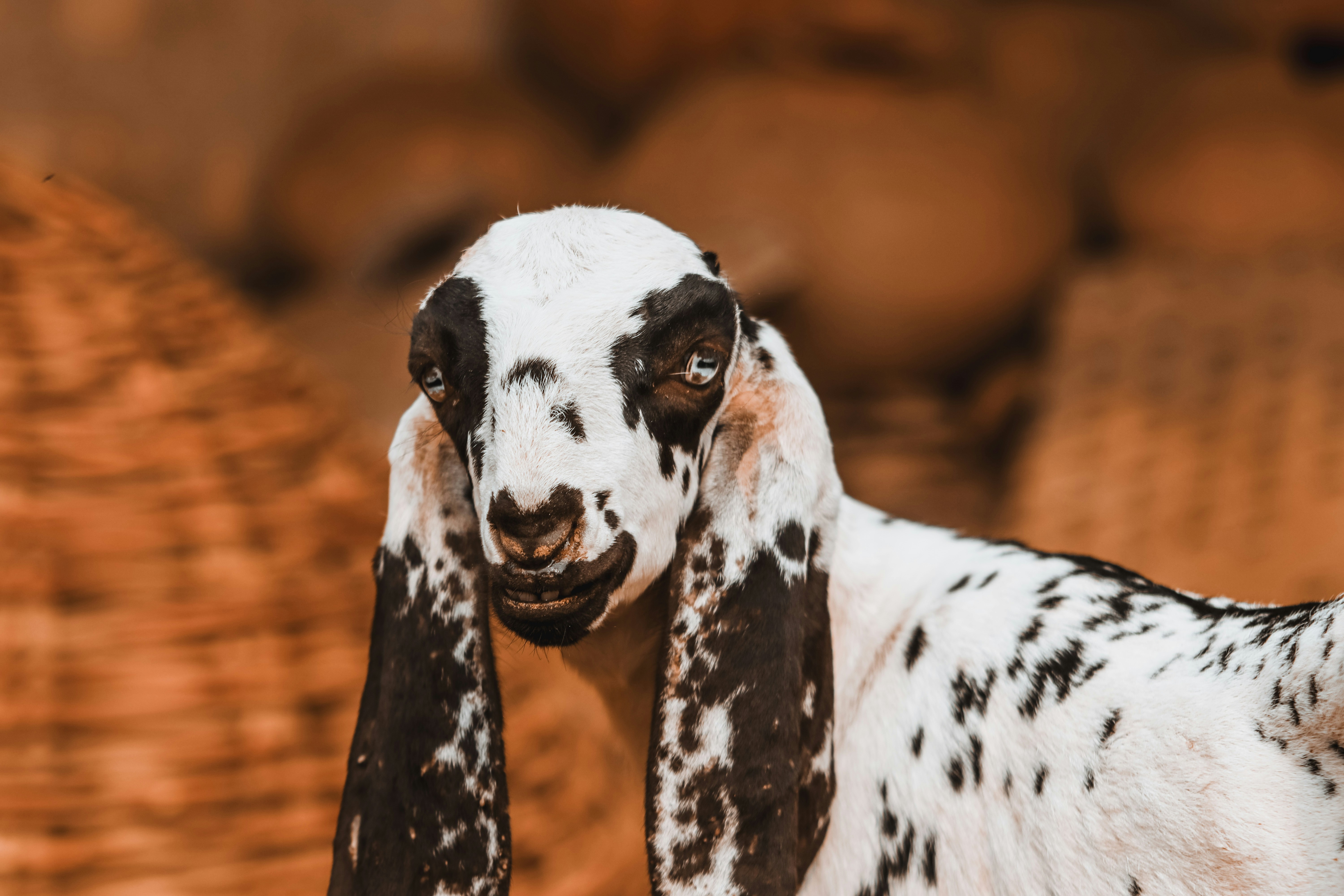 Photo by drphotographer152