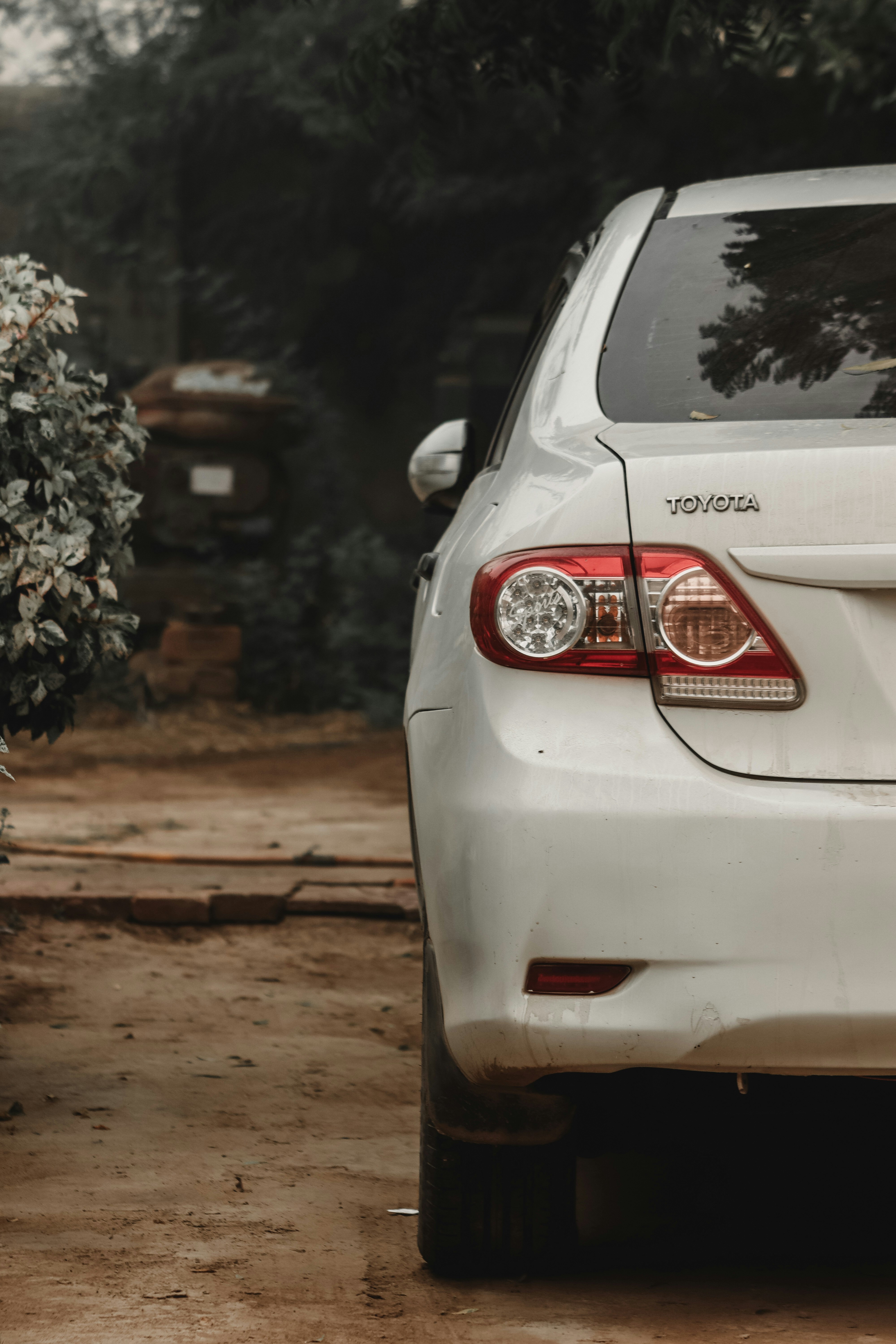 Photo by drphotographer152