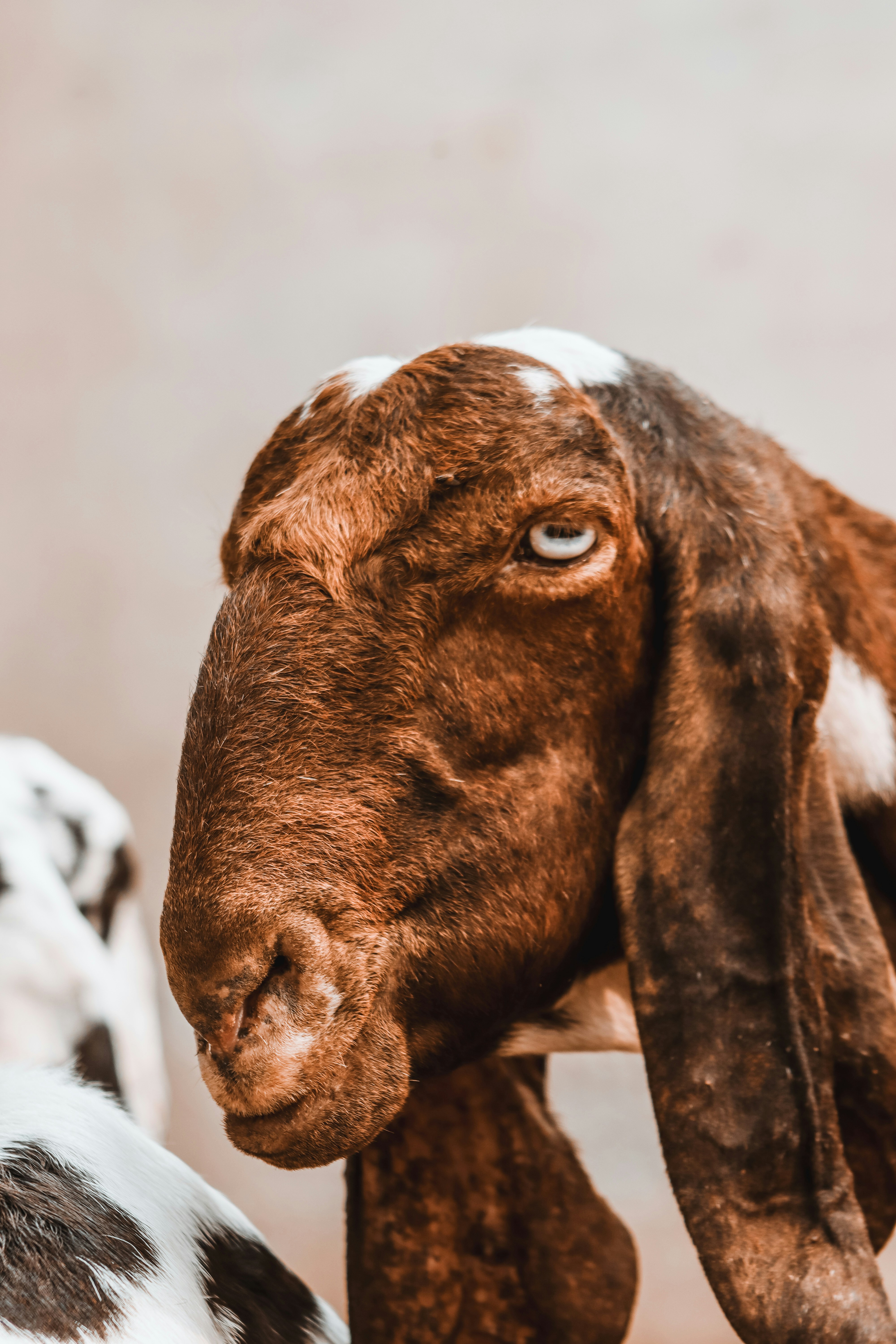 Photo by drphotographer152