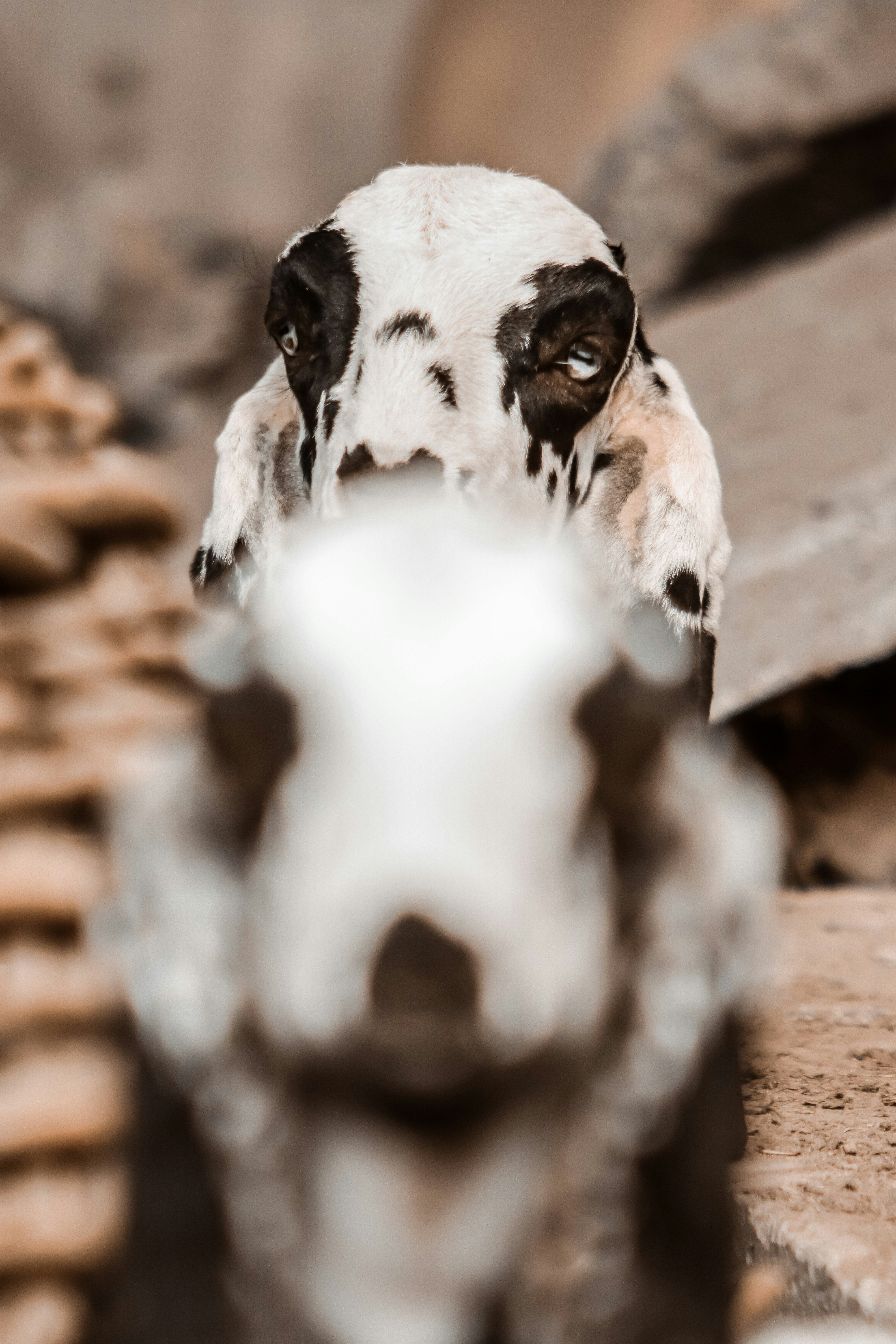 Photo by drphotographer152