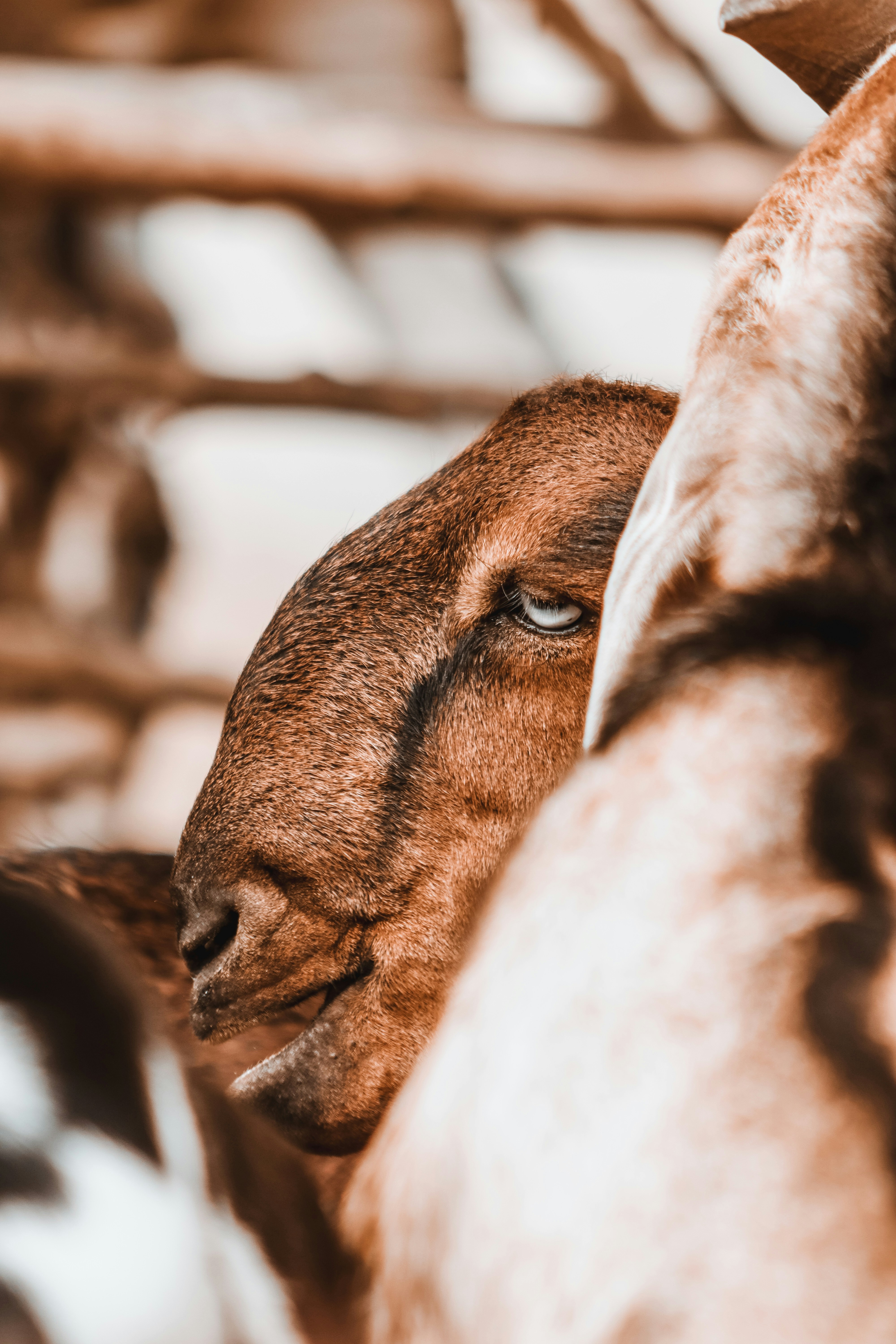 Photo by drphotographer152