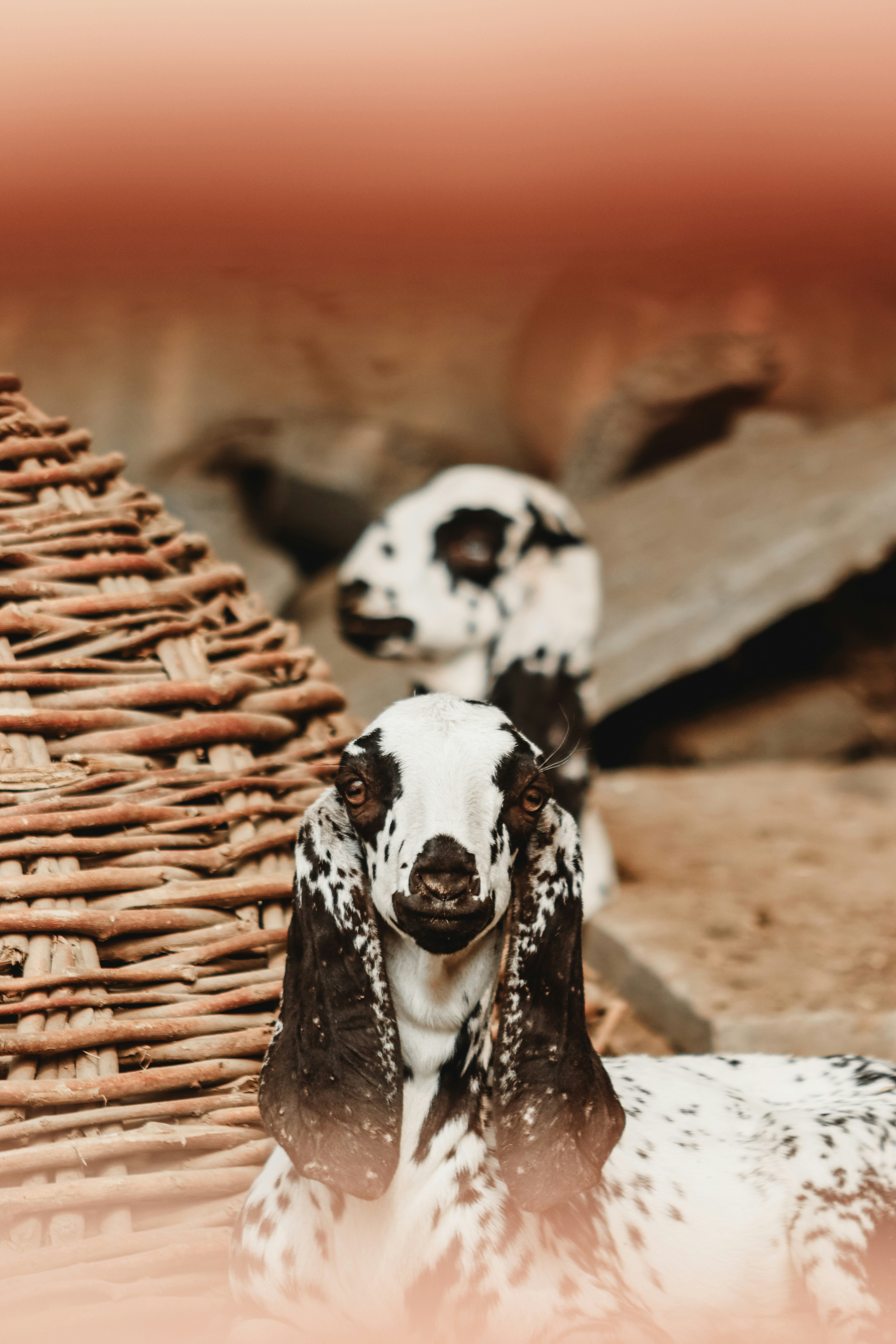 Photo by drphotographer152