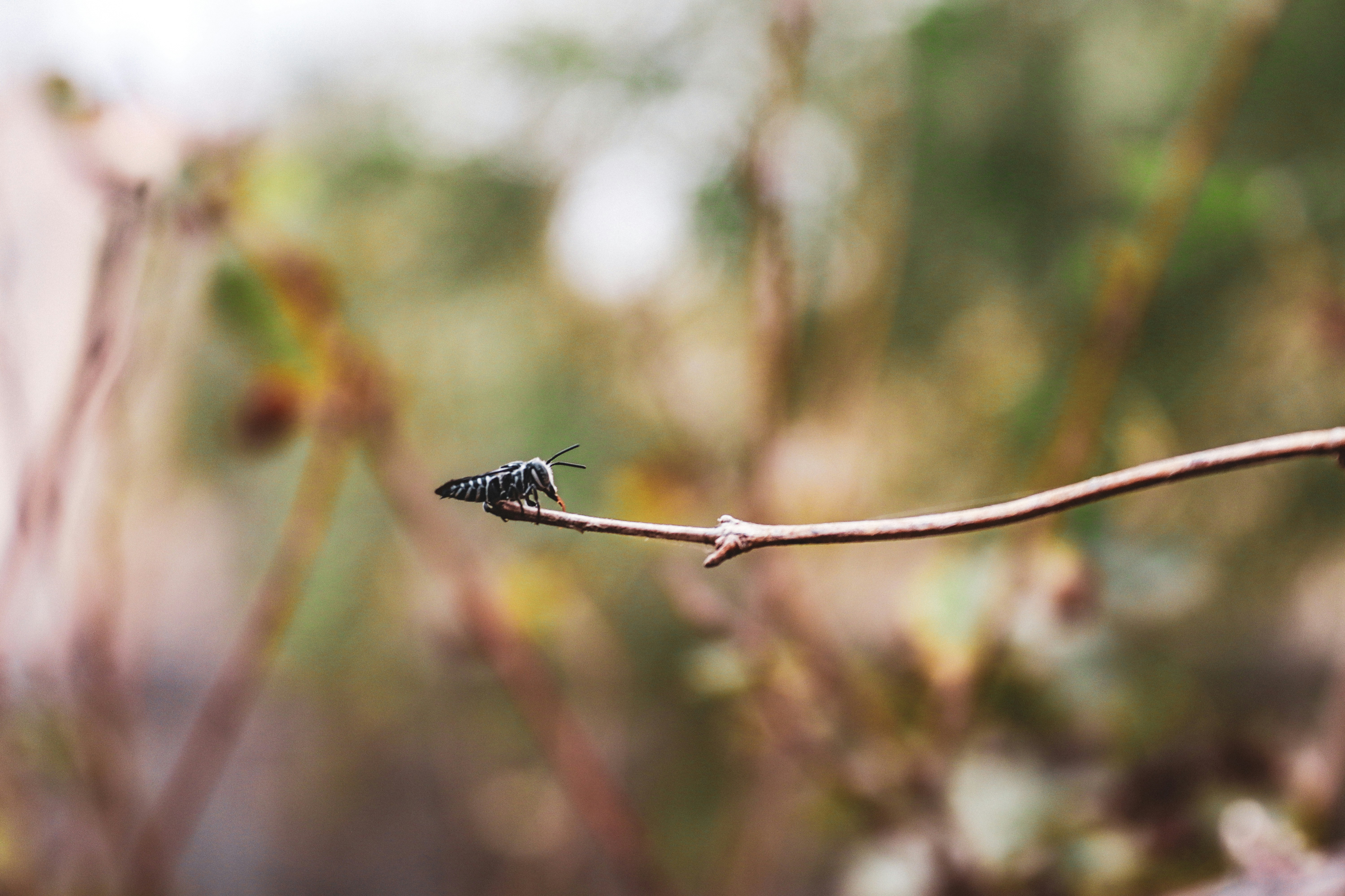 Photo by drphotographer152