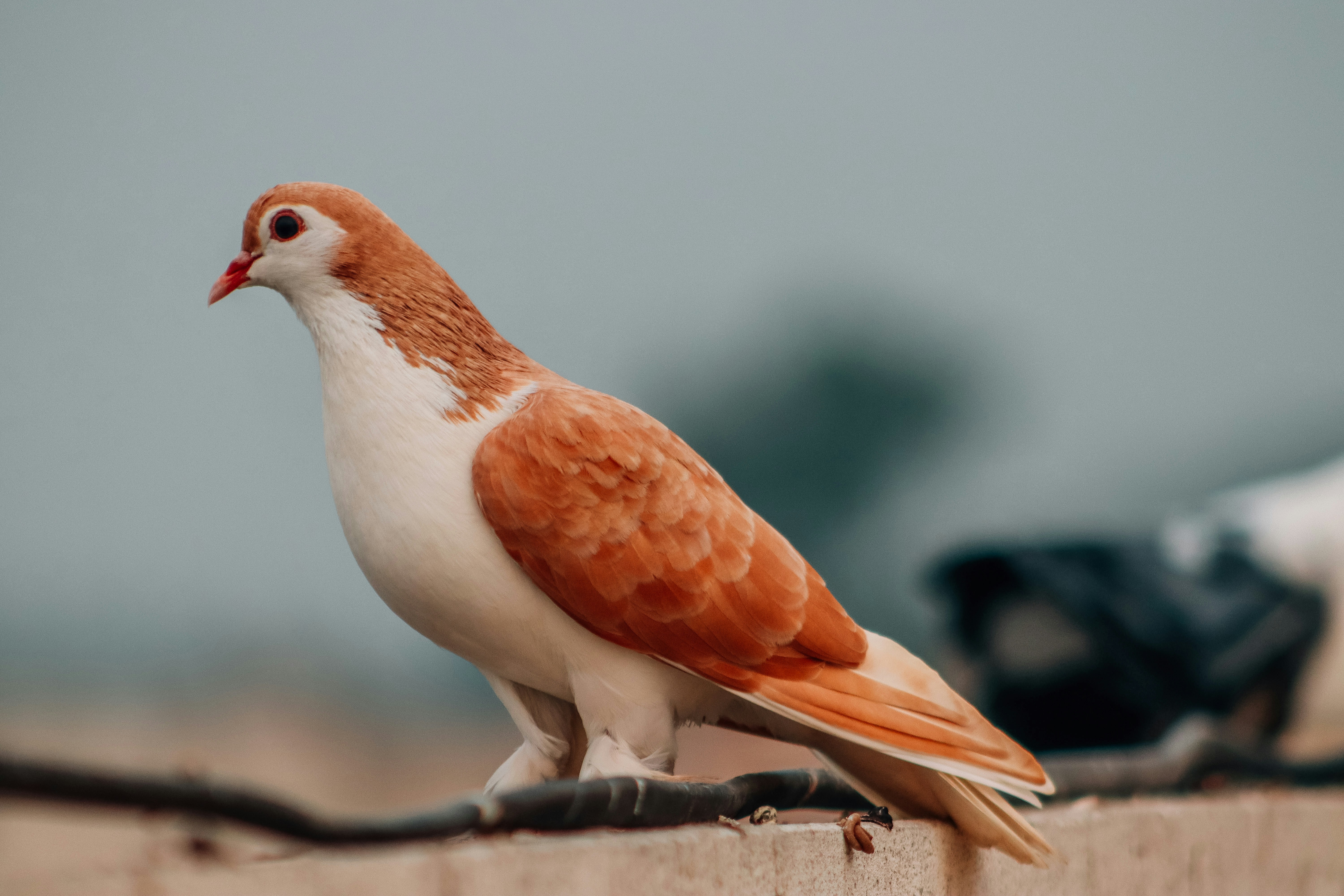 Photo by drphotographer152