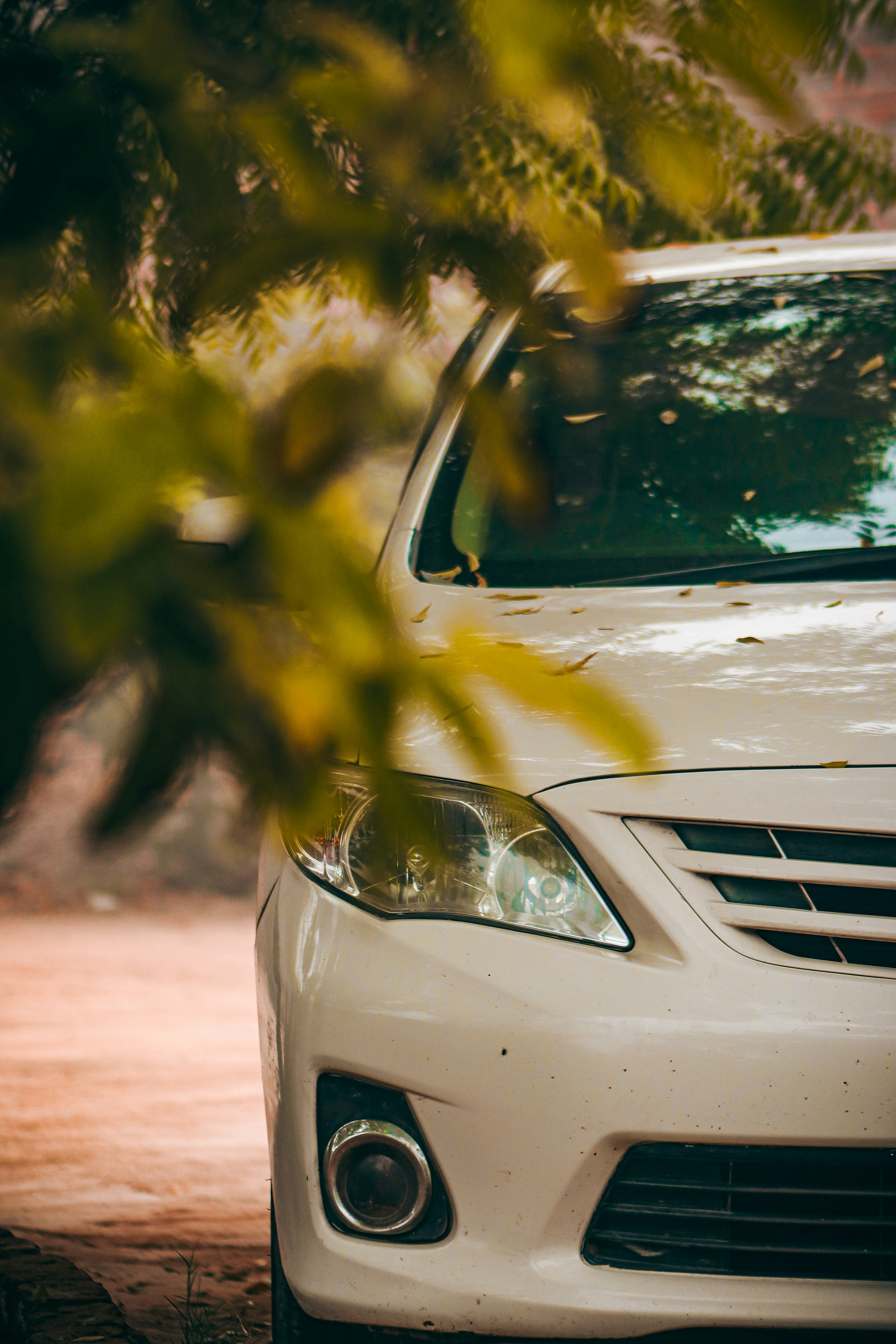 Photo by drphotographer152