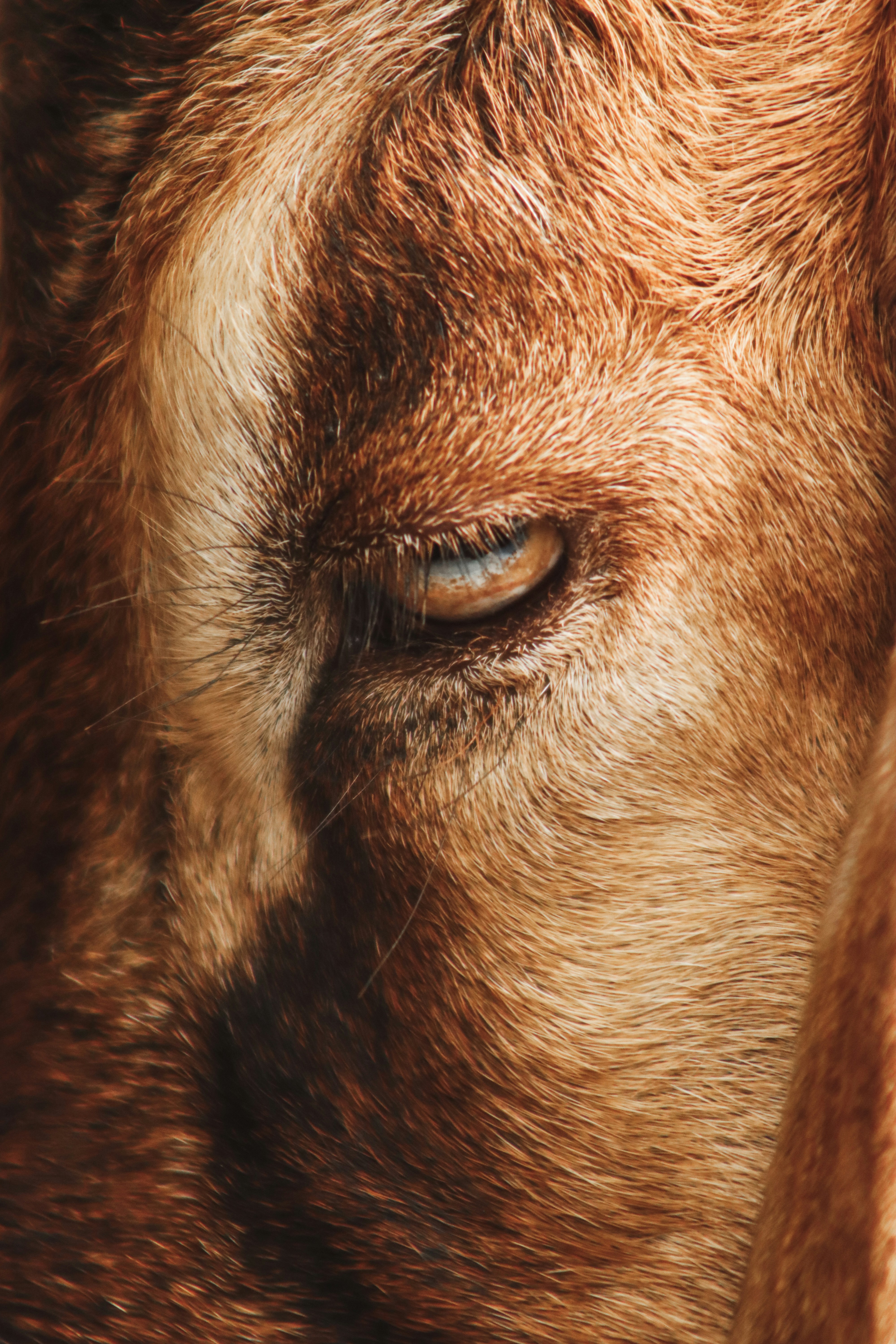 Photo by drphotographer152