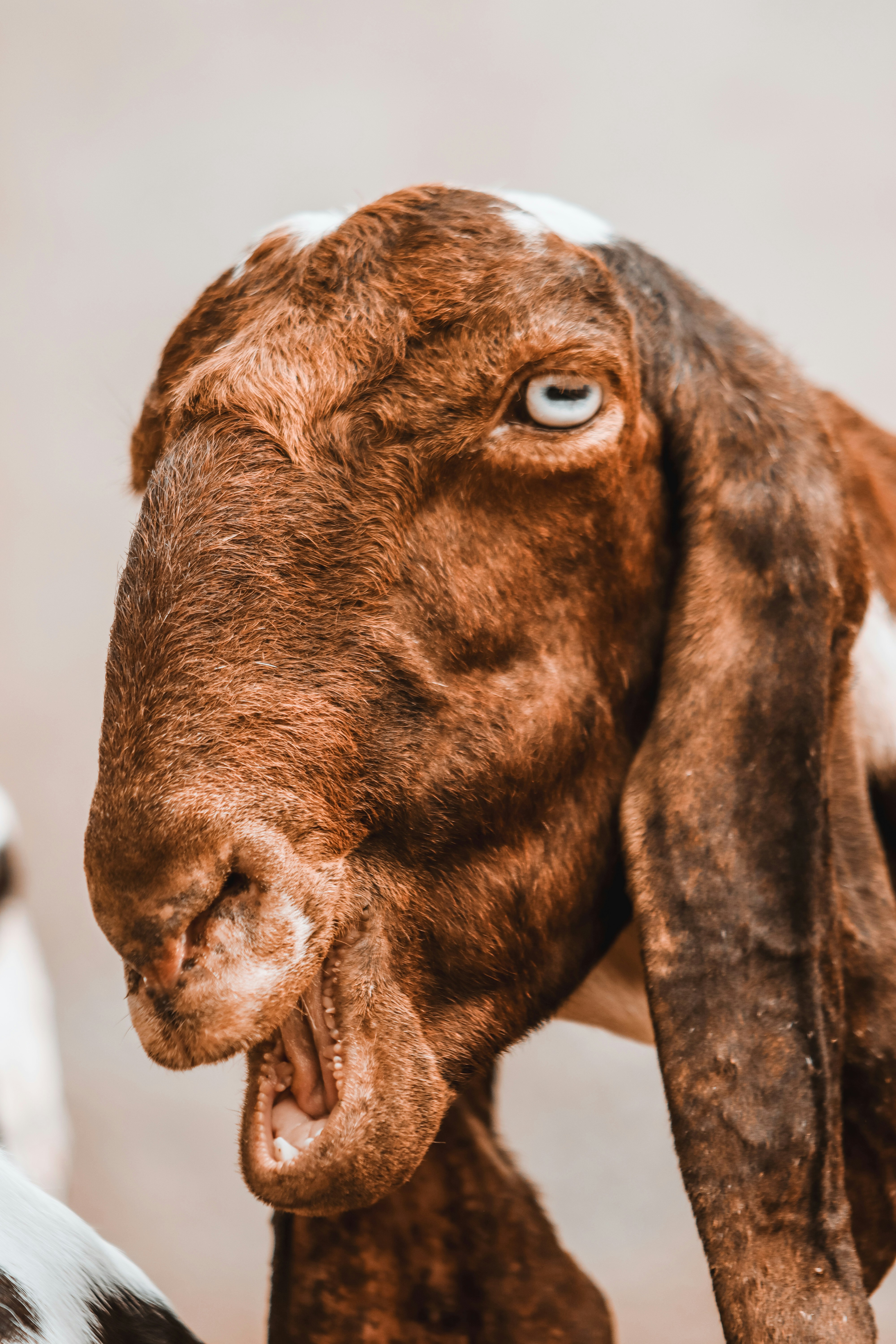 Photo by drphotographer152