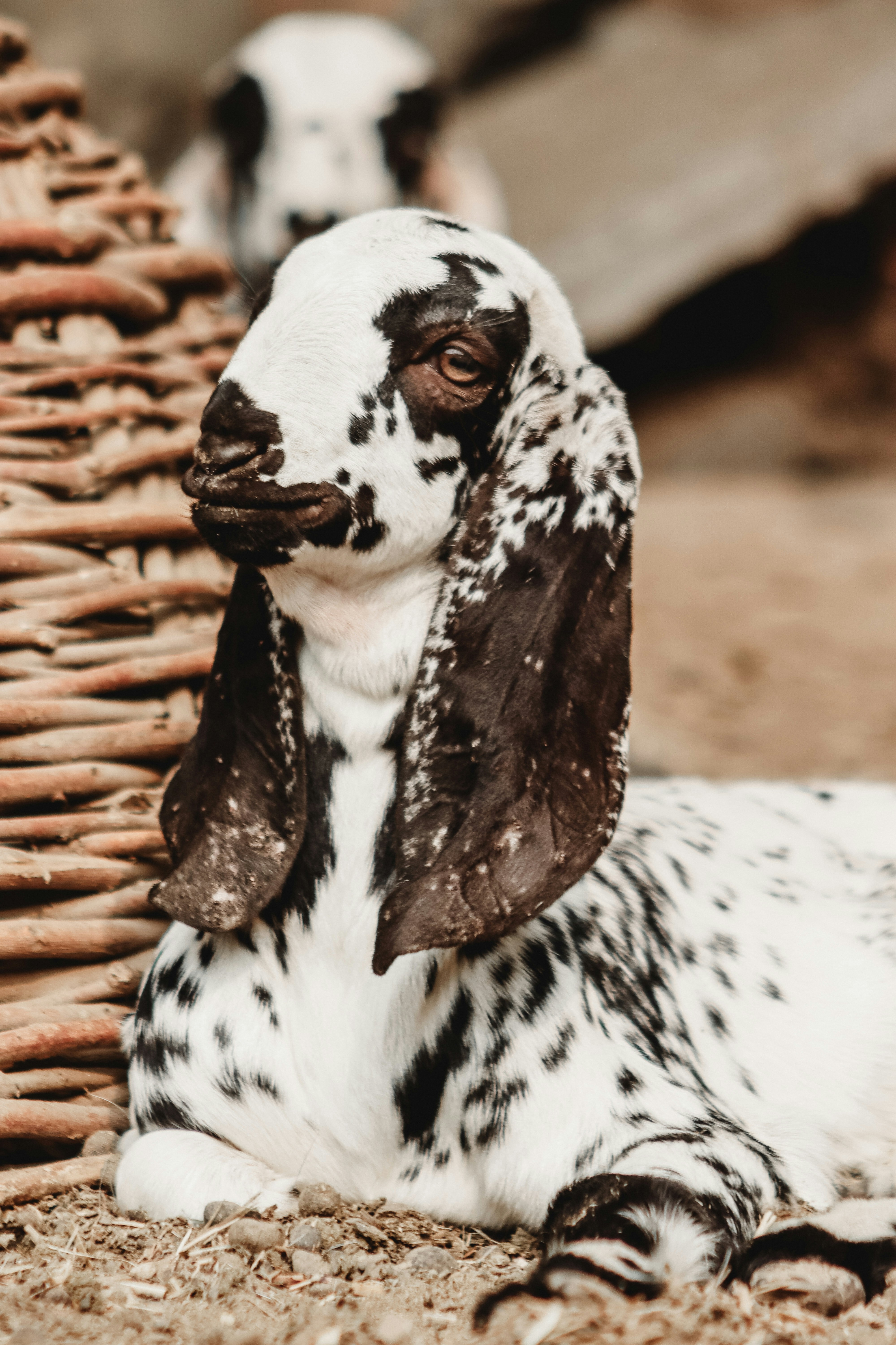 Photo by drphotographer152