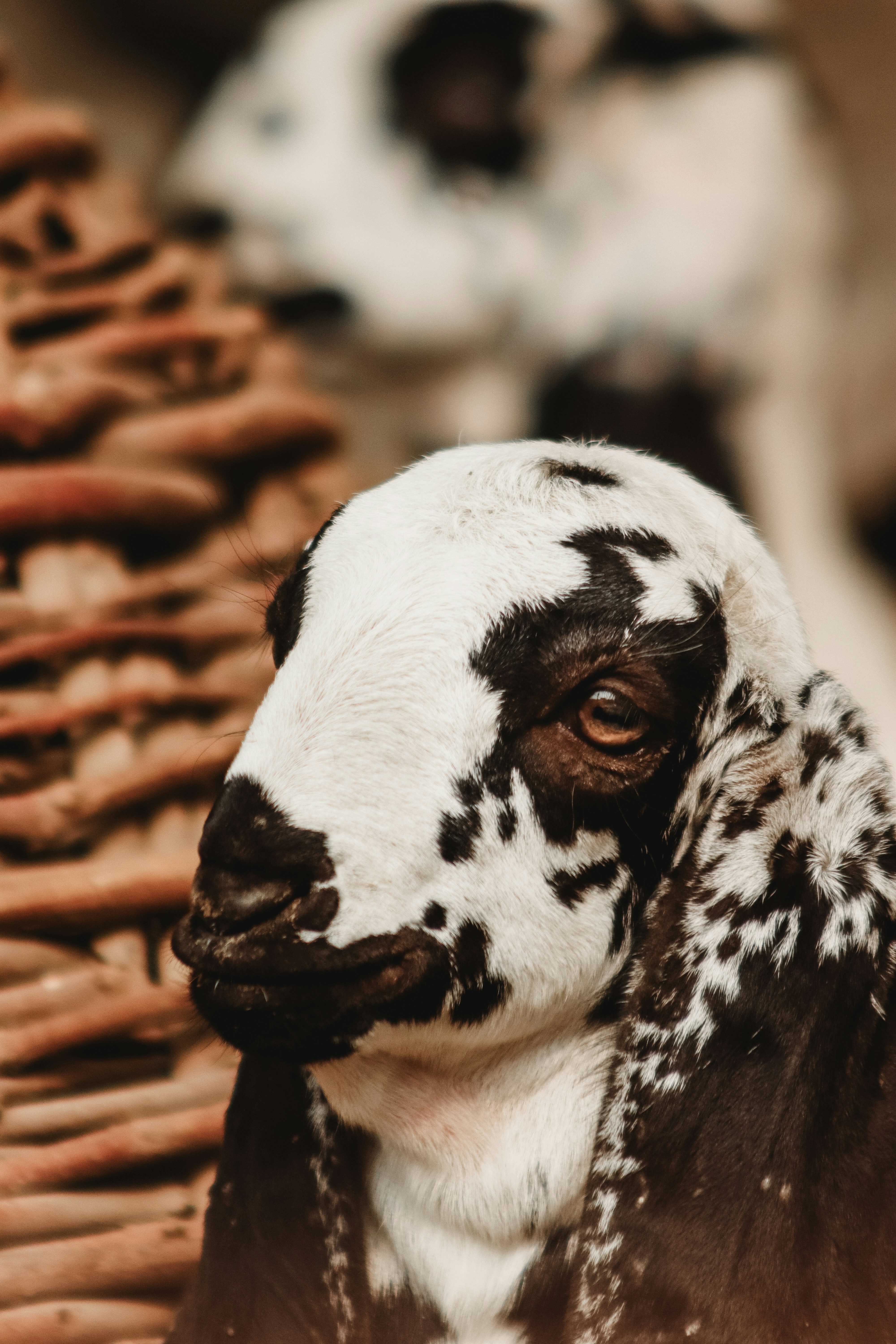 Photo by drphotographer152