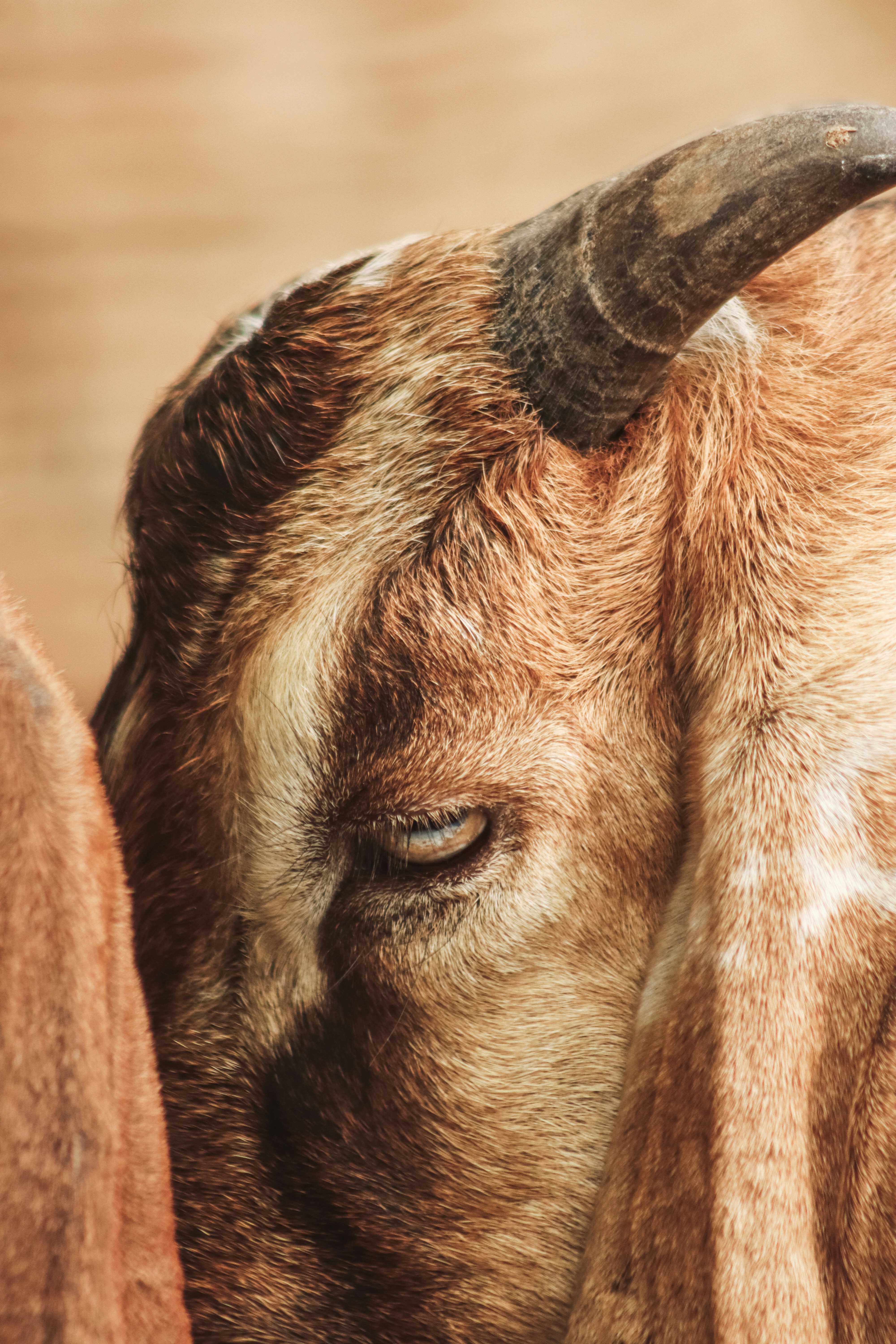 Photo by drphotographer152