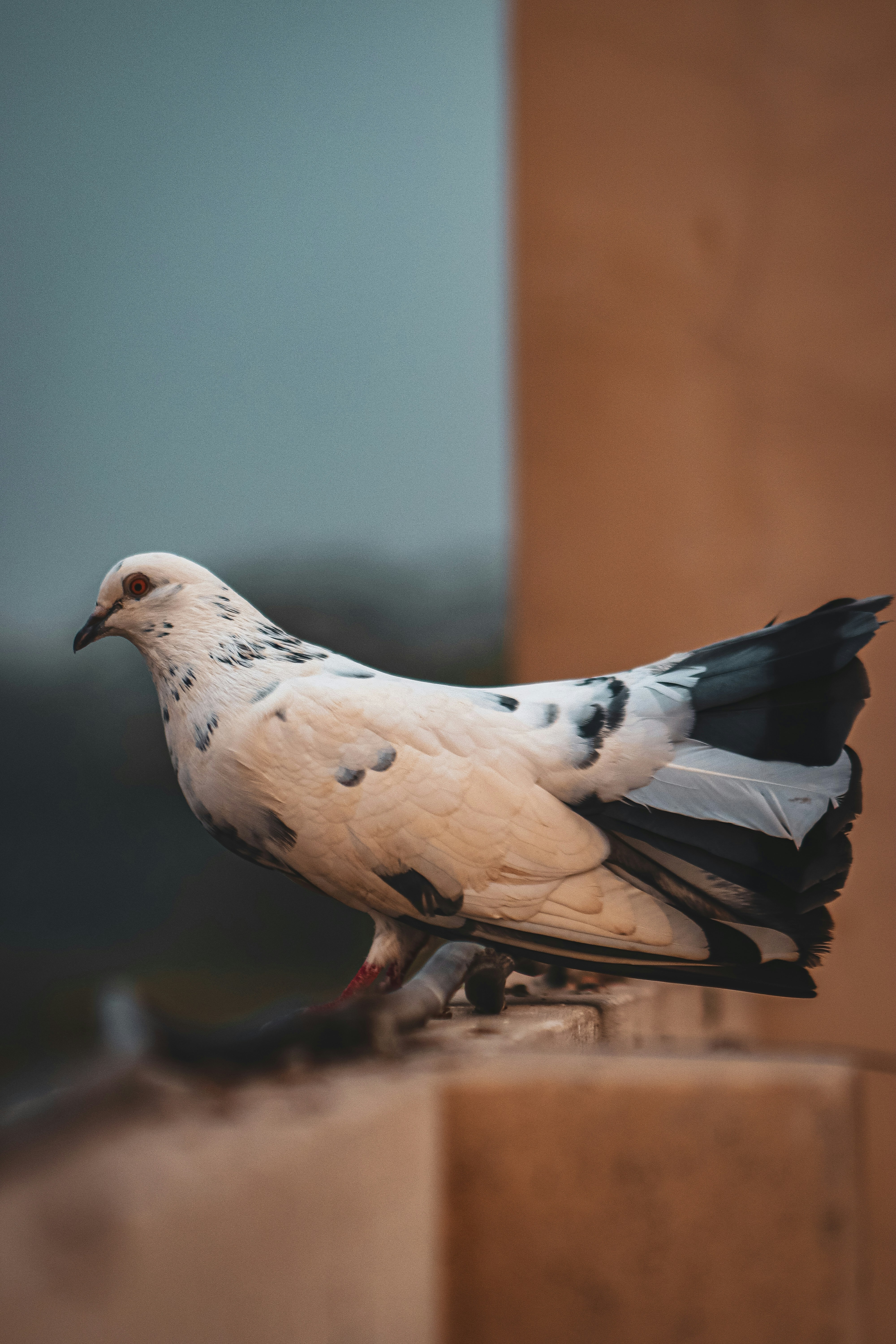 Photo by drphotographer152