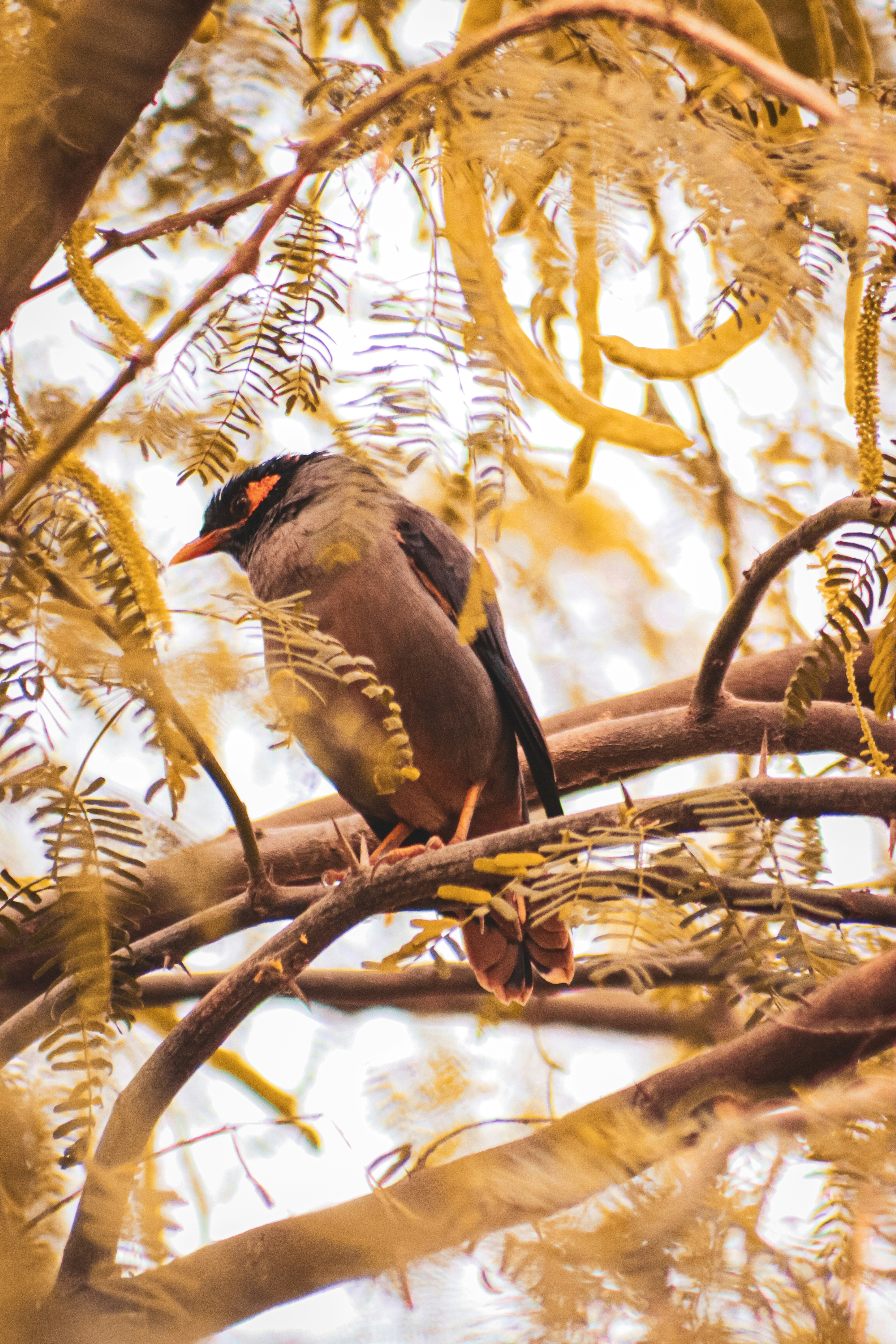 Photo by drphotographer152