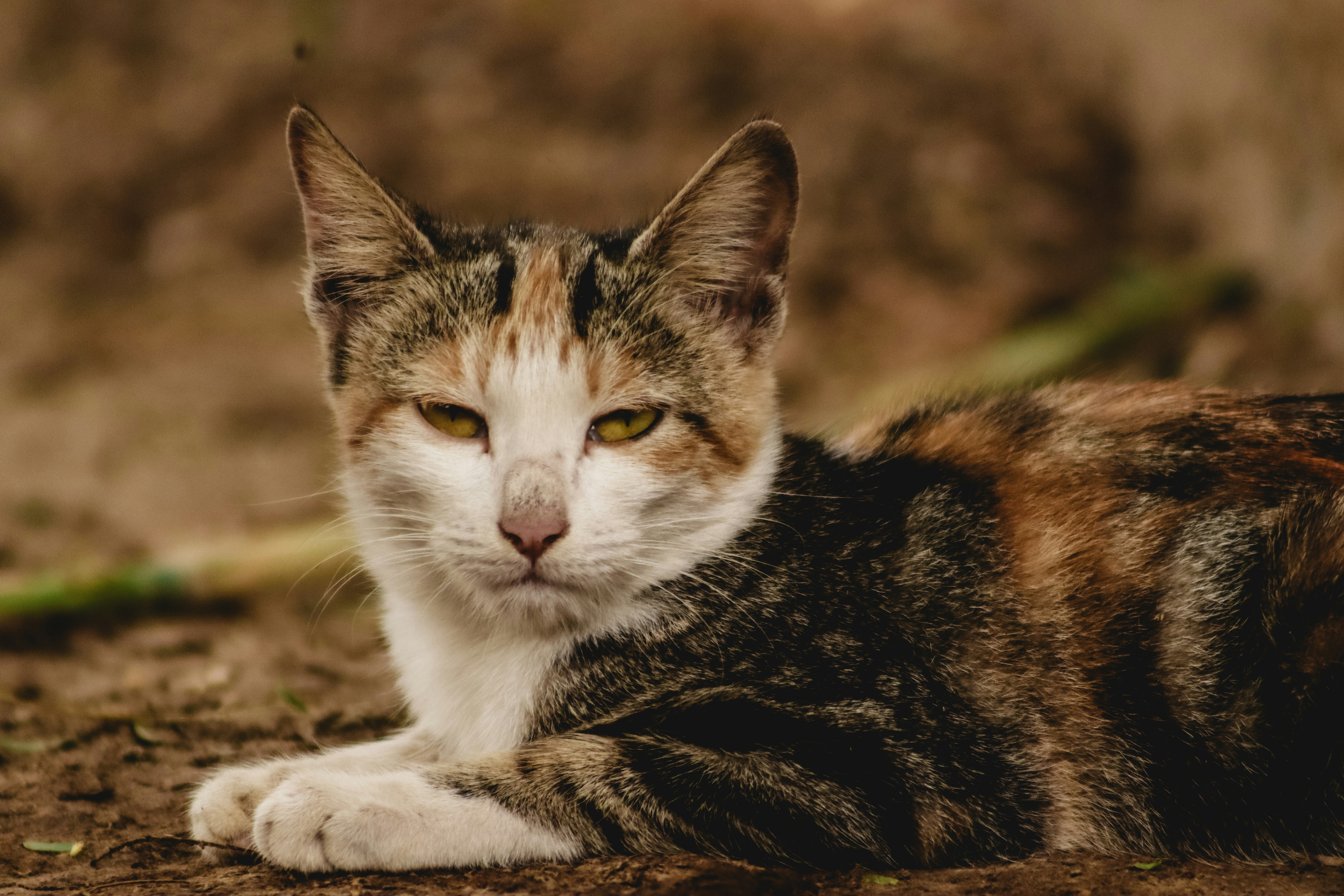 Photo by drphotographer152