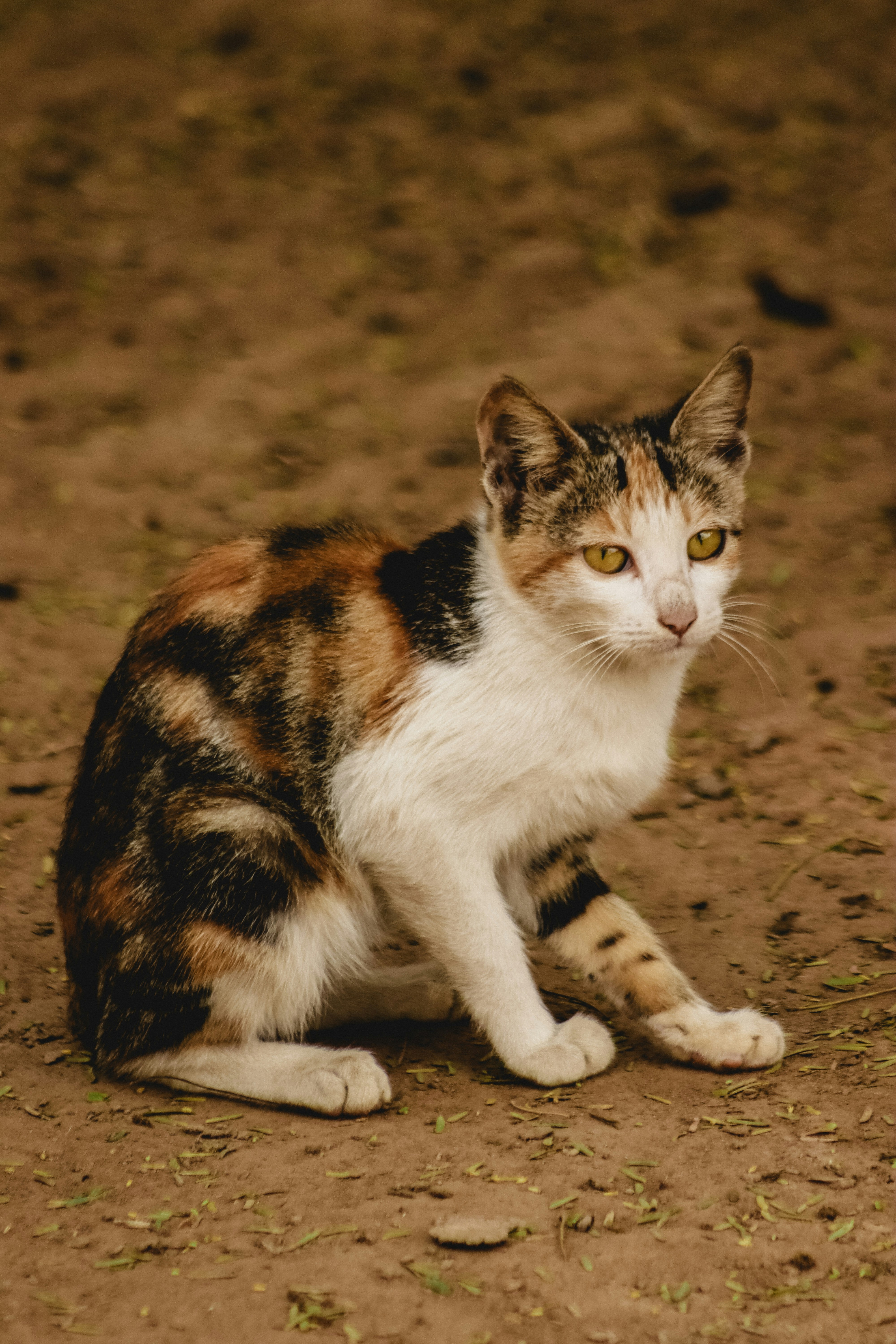 Photo by drphotographer152