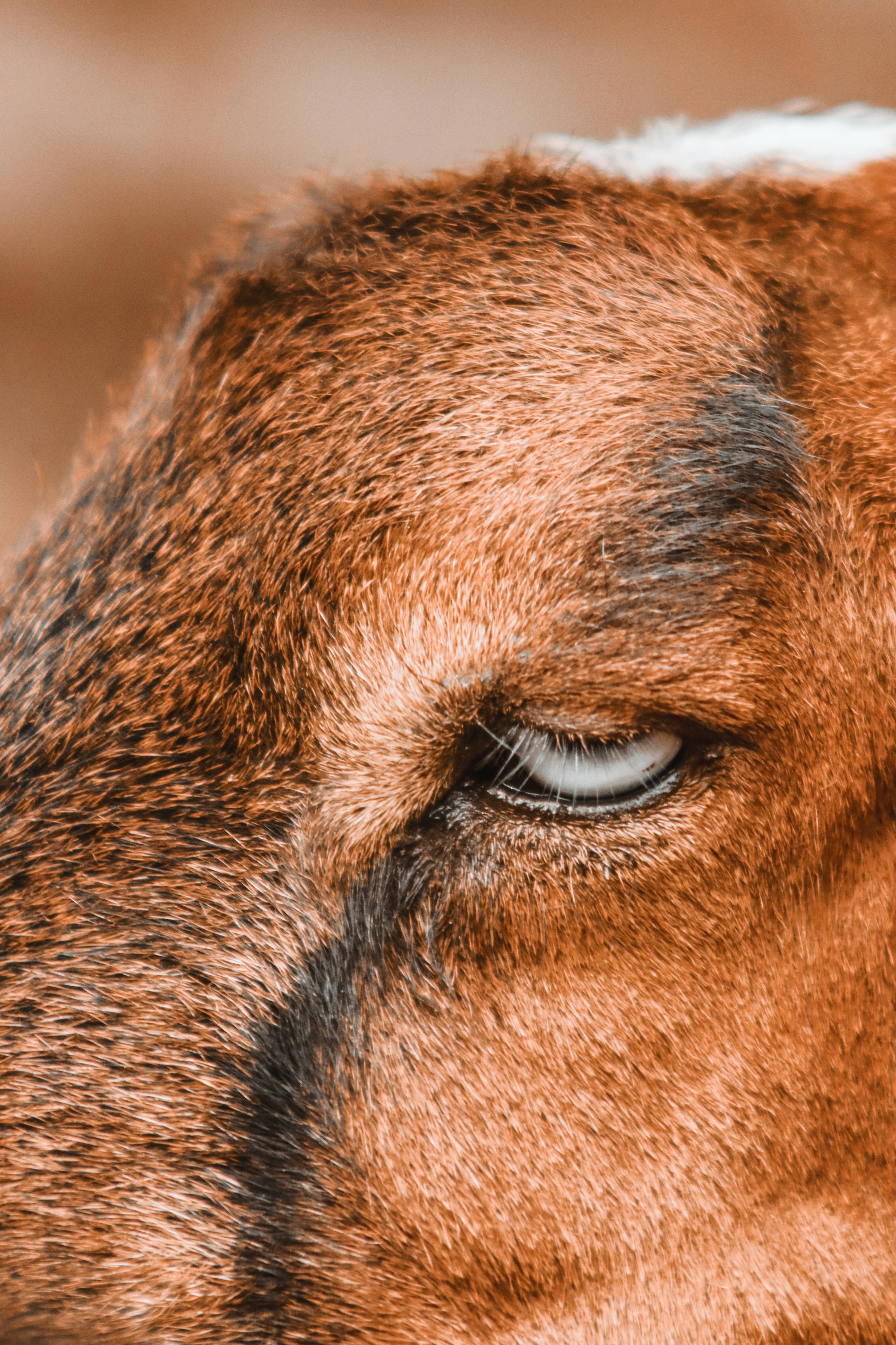 Photo by drphotographer152