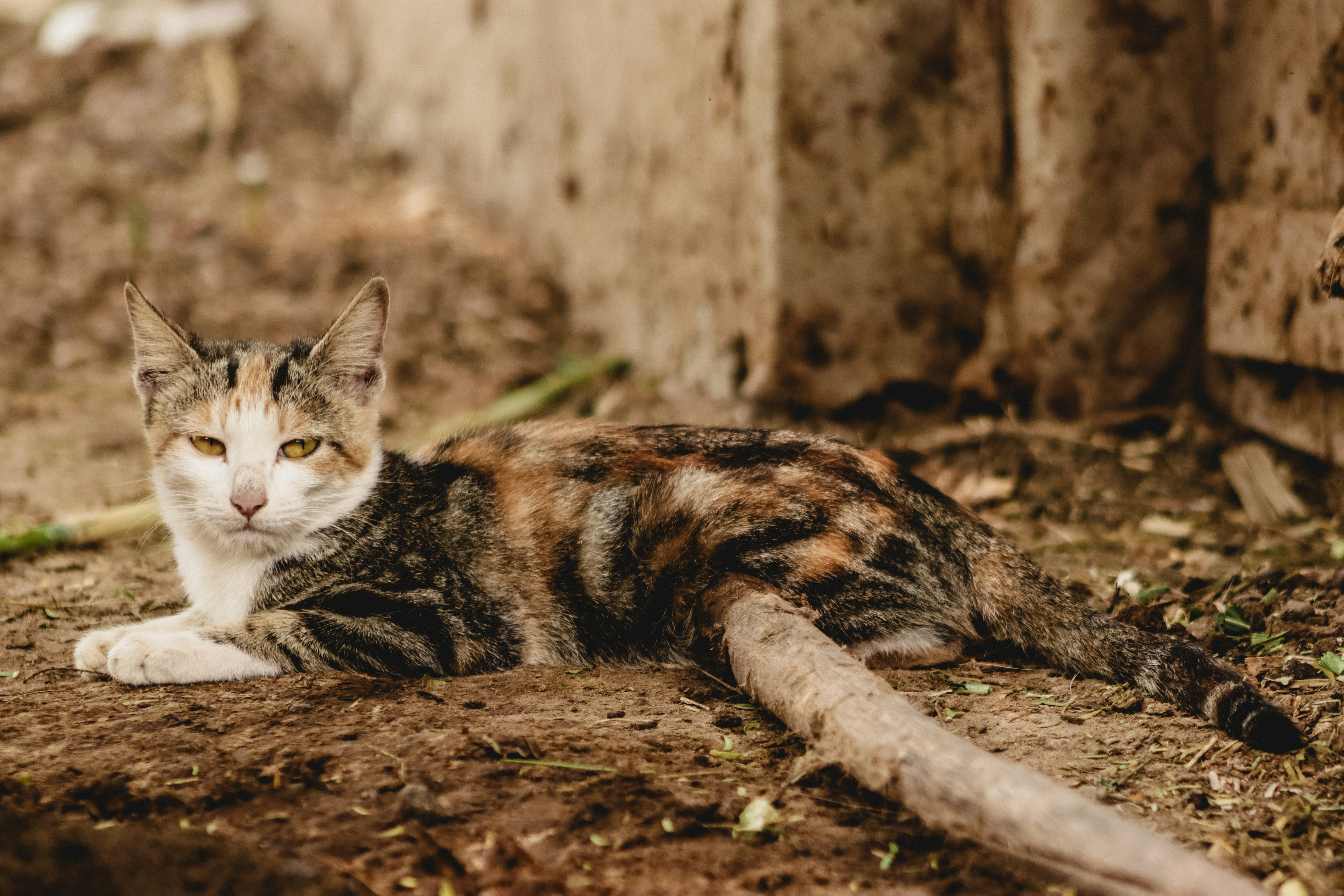 Photo by drphotographer152