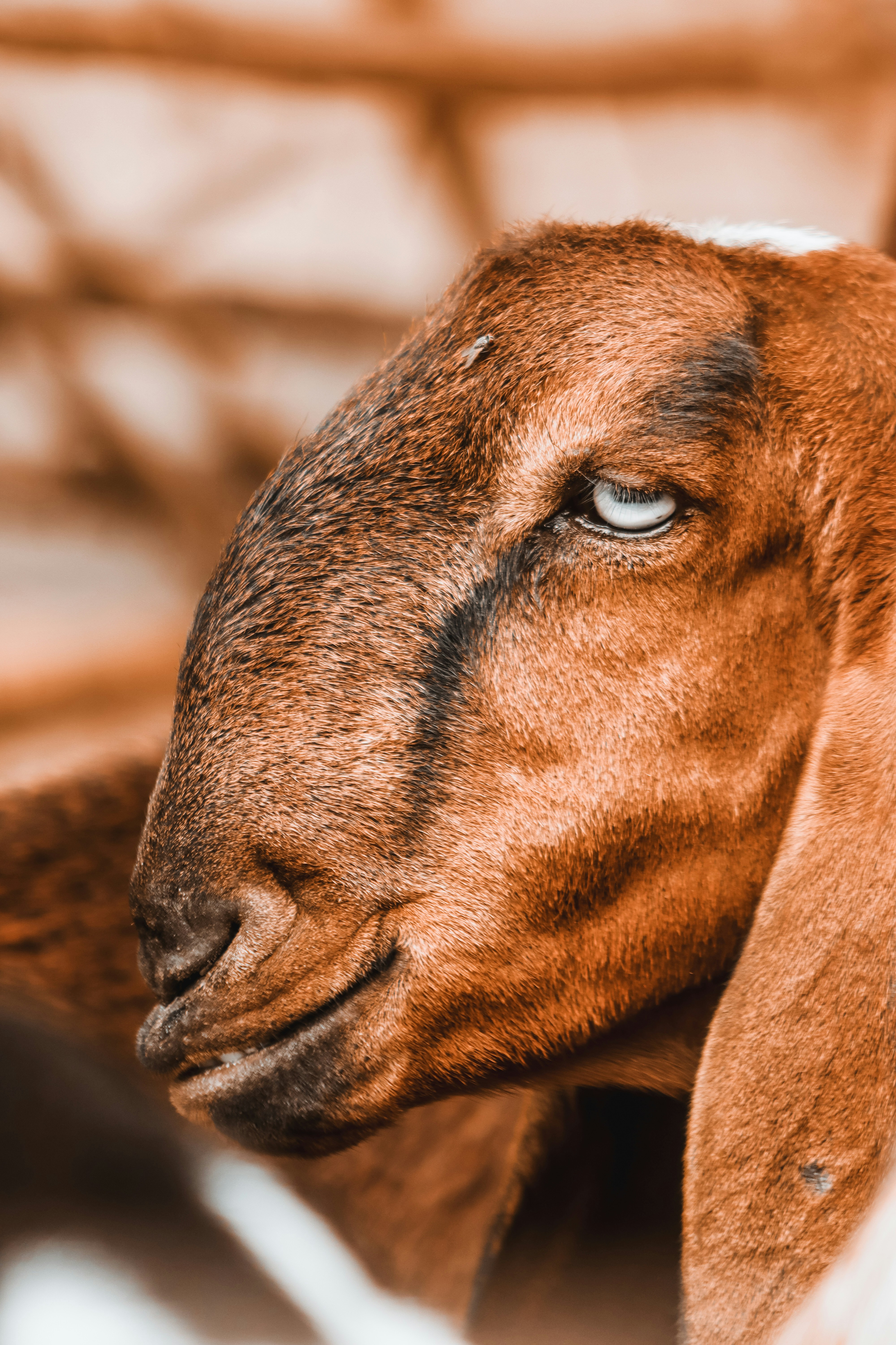 Photo by drphotographer152