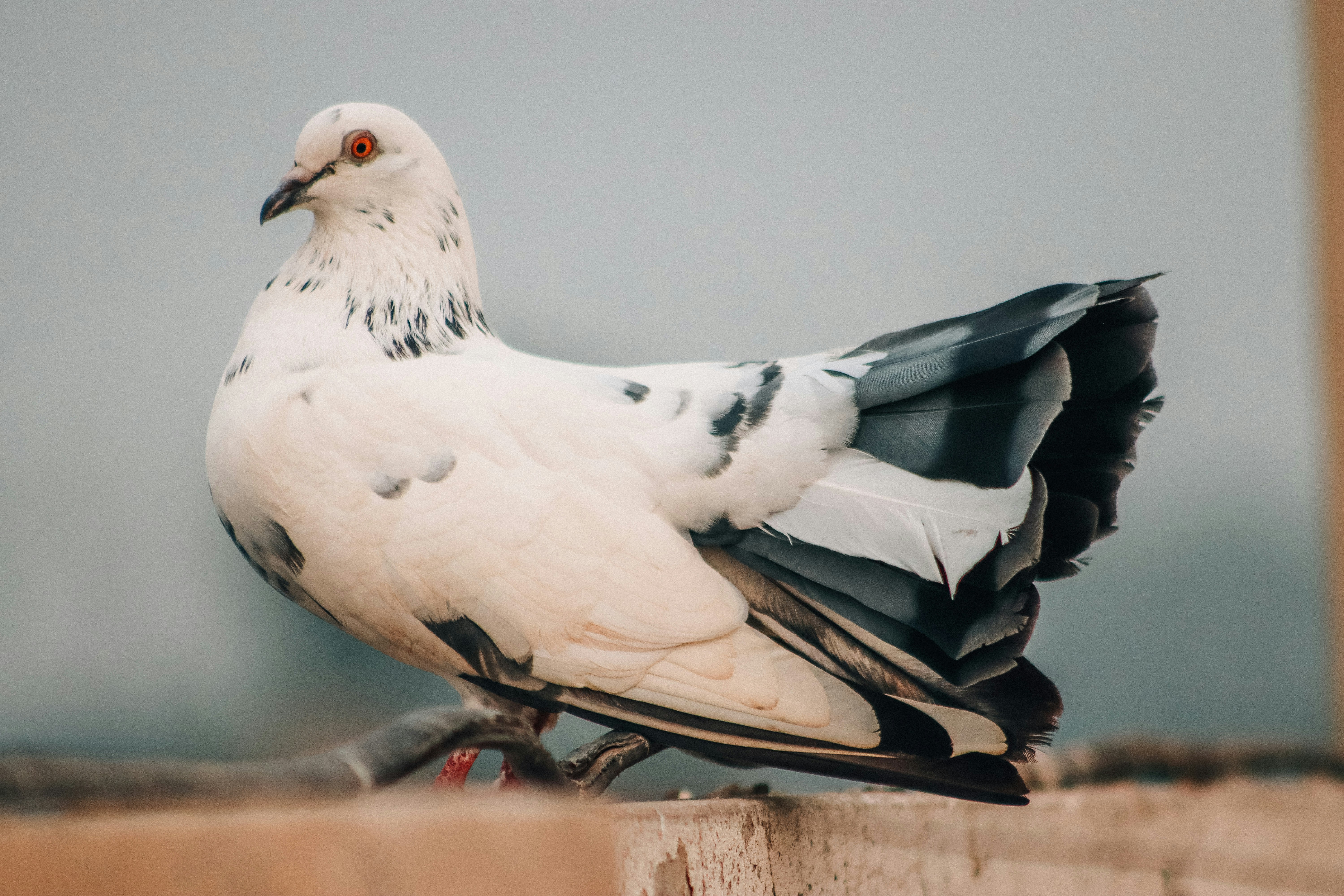 Photo by drphotographer152