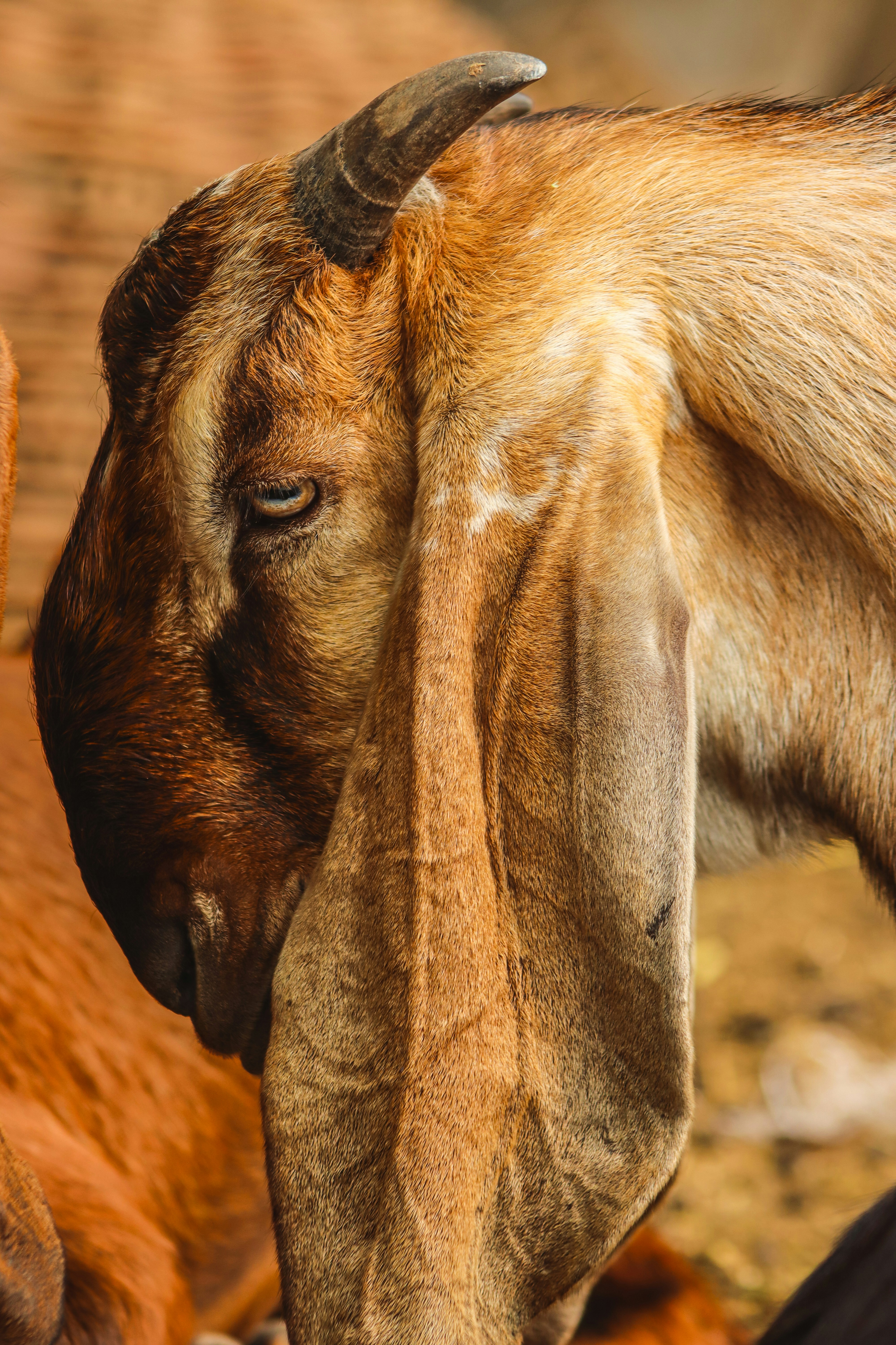 Photo by drphotographer152