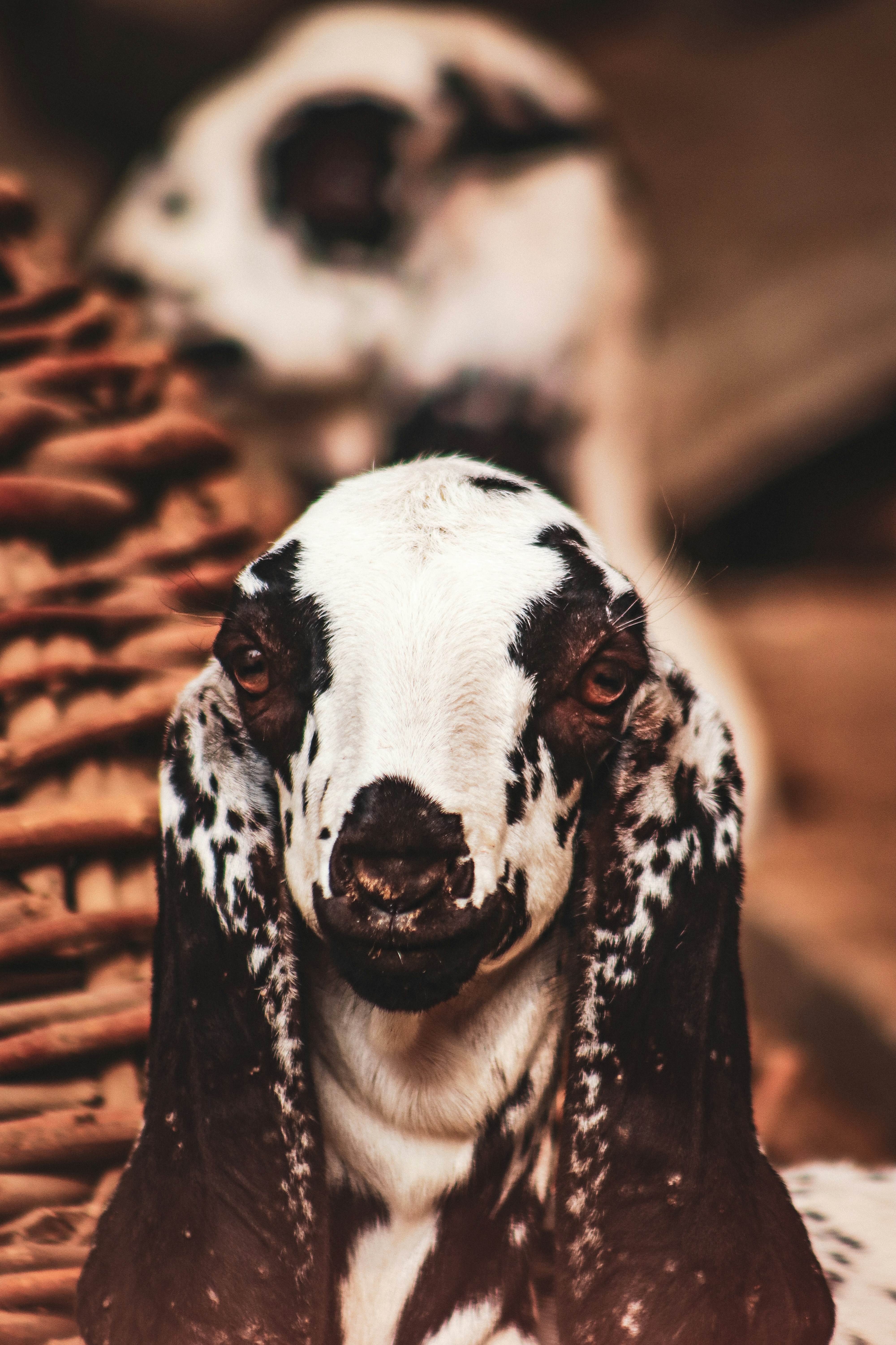 Photo by drphotographer152