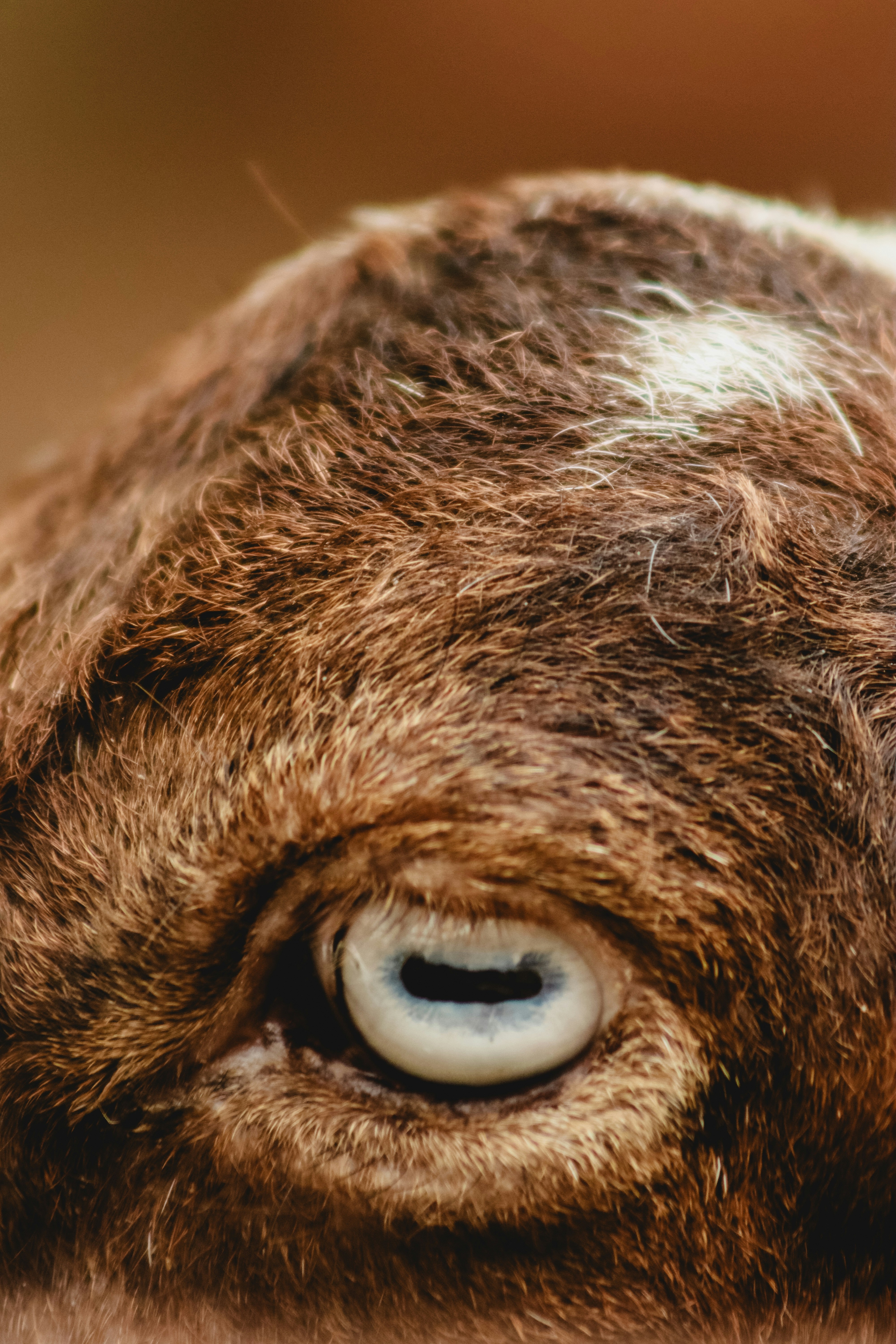 Photo by drphotographer152