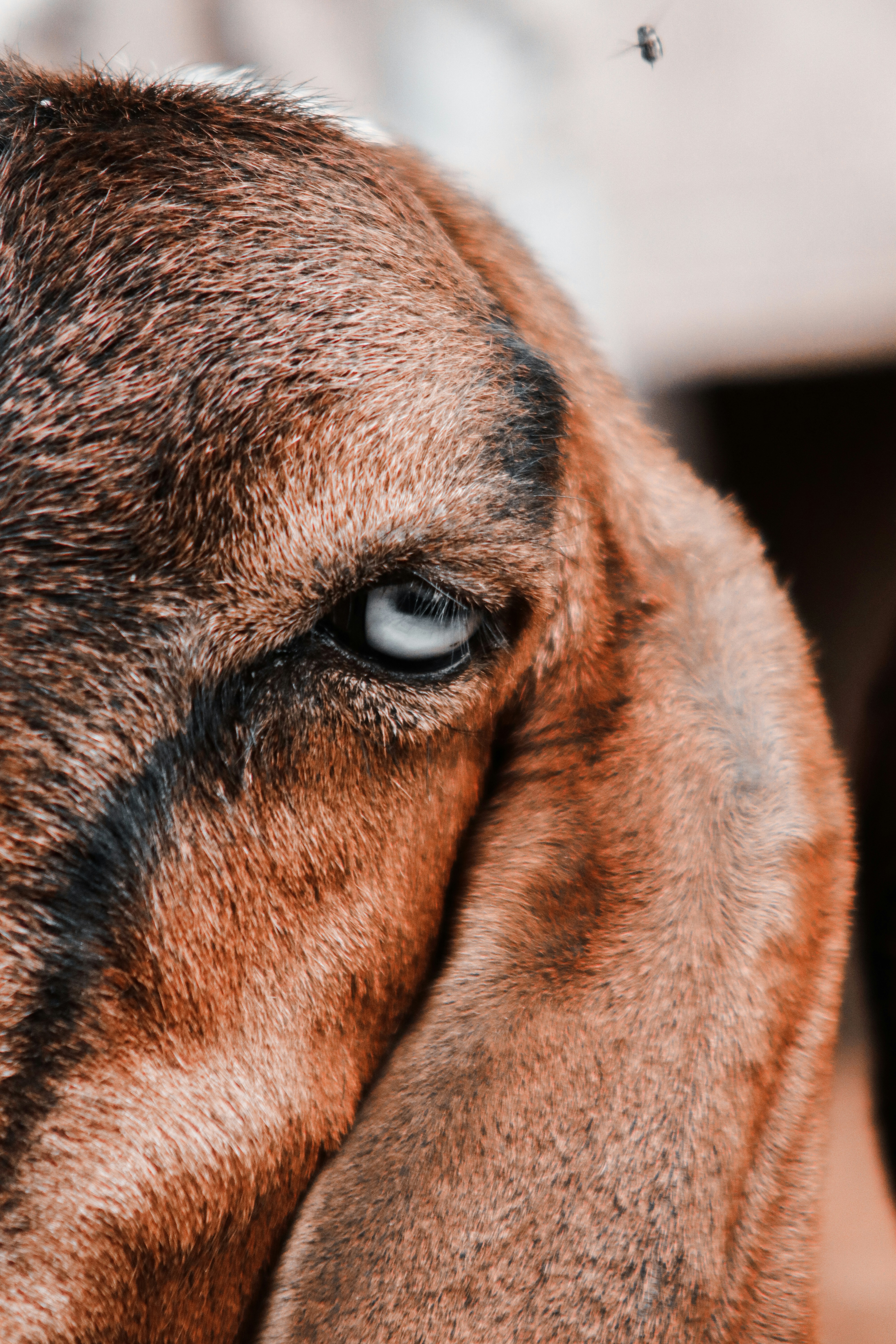 Photo by drphotographer152