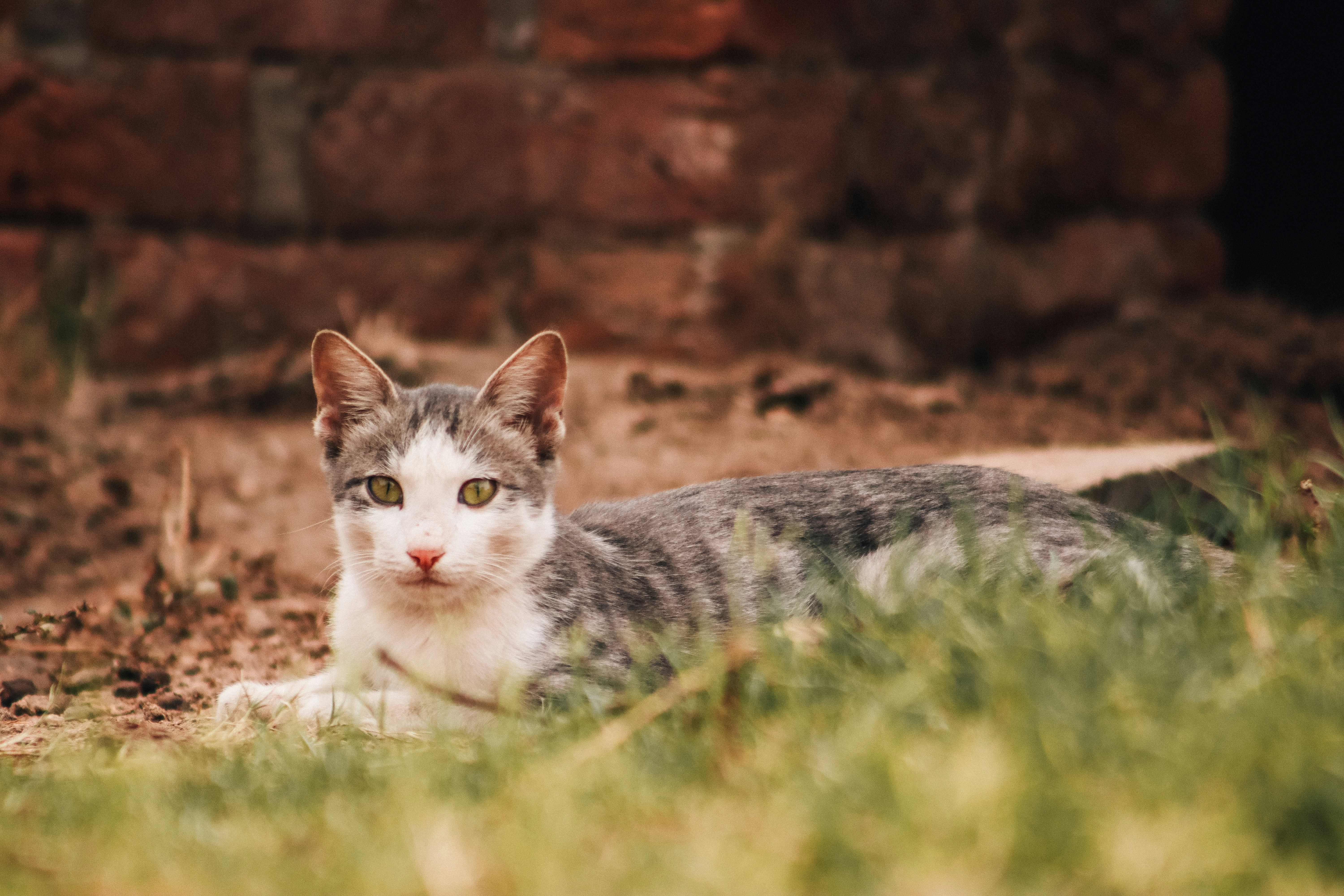 Photo by drphotographer152