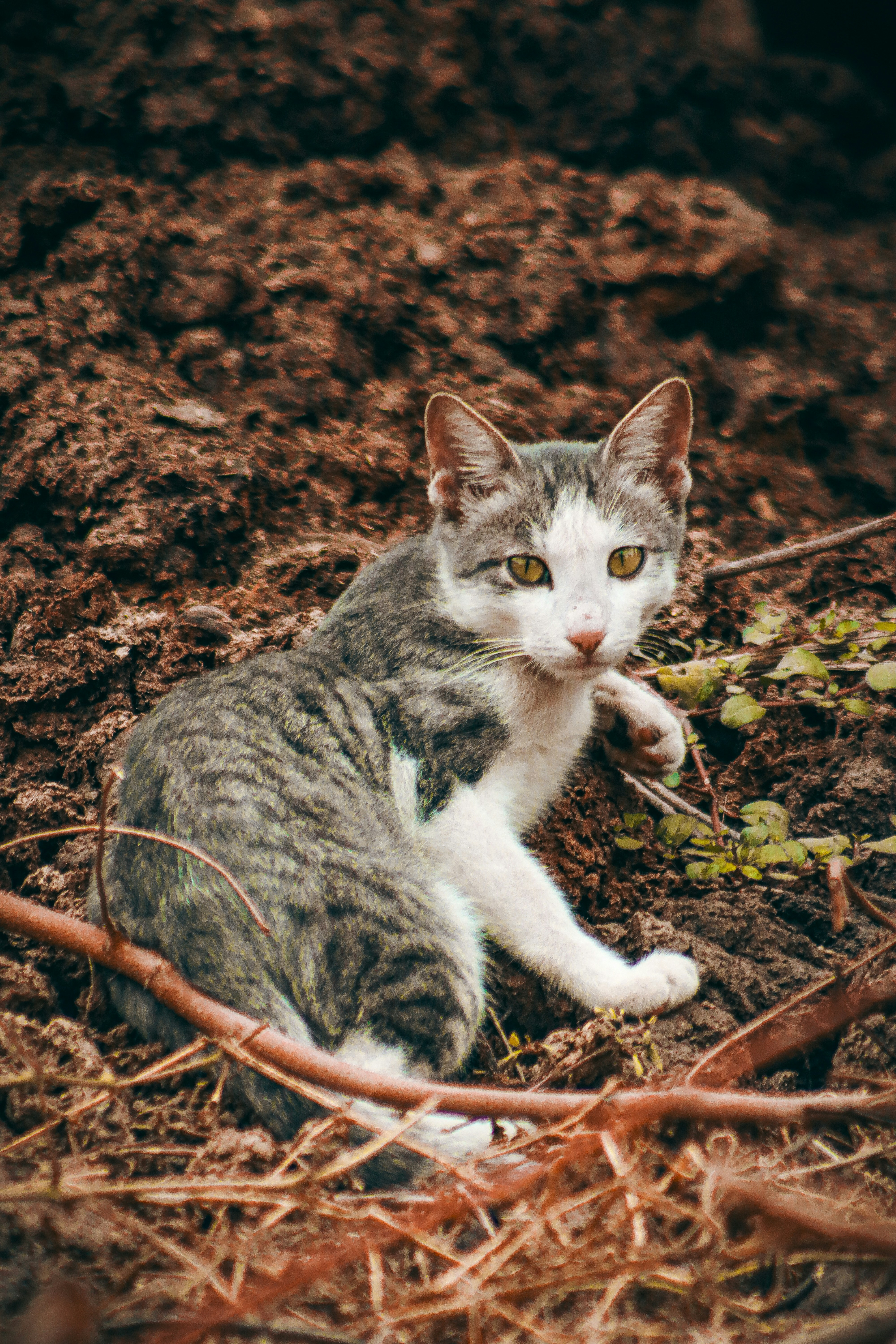 Photo by drphotographer152