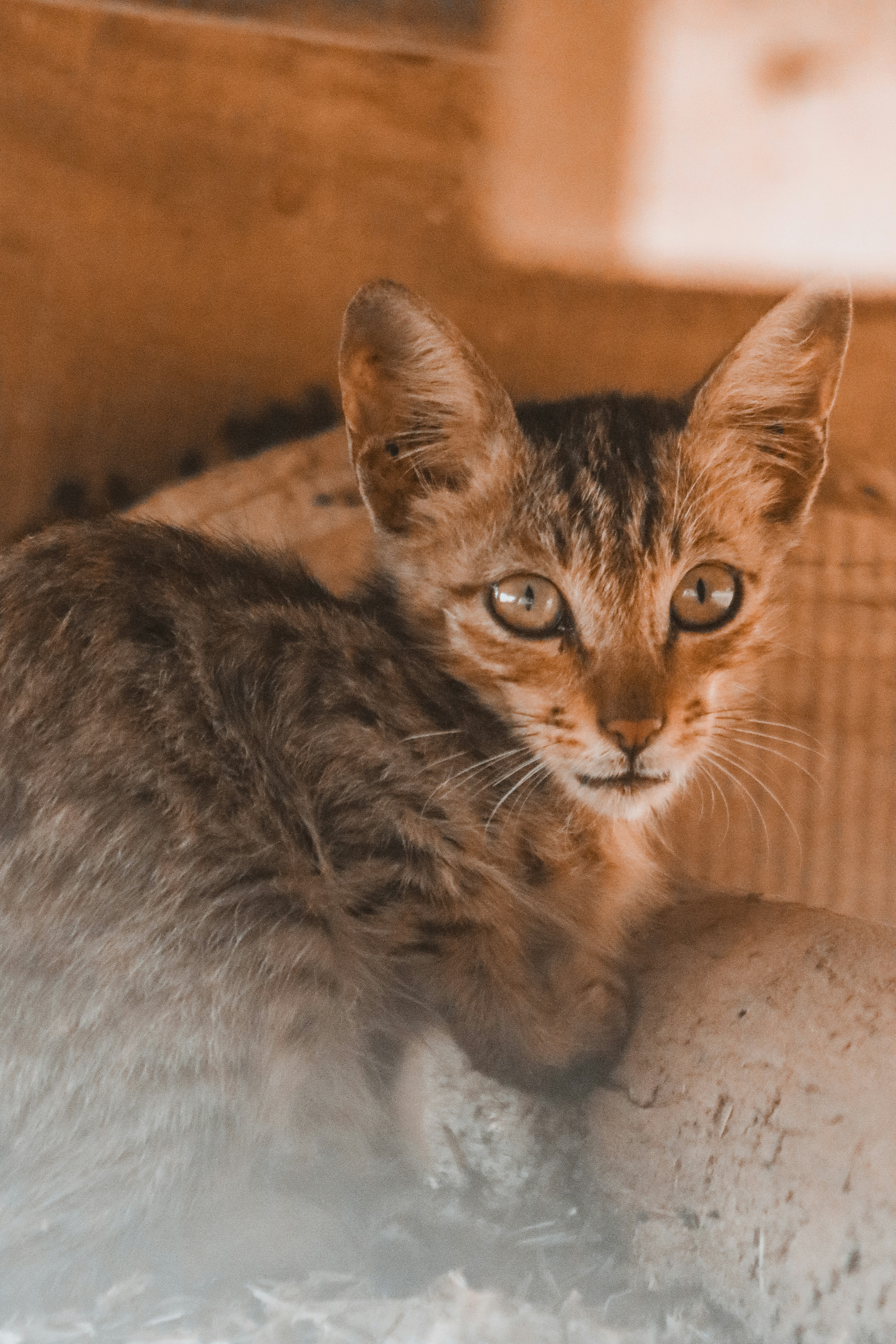 Photo by drphotographer152